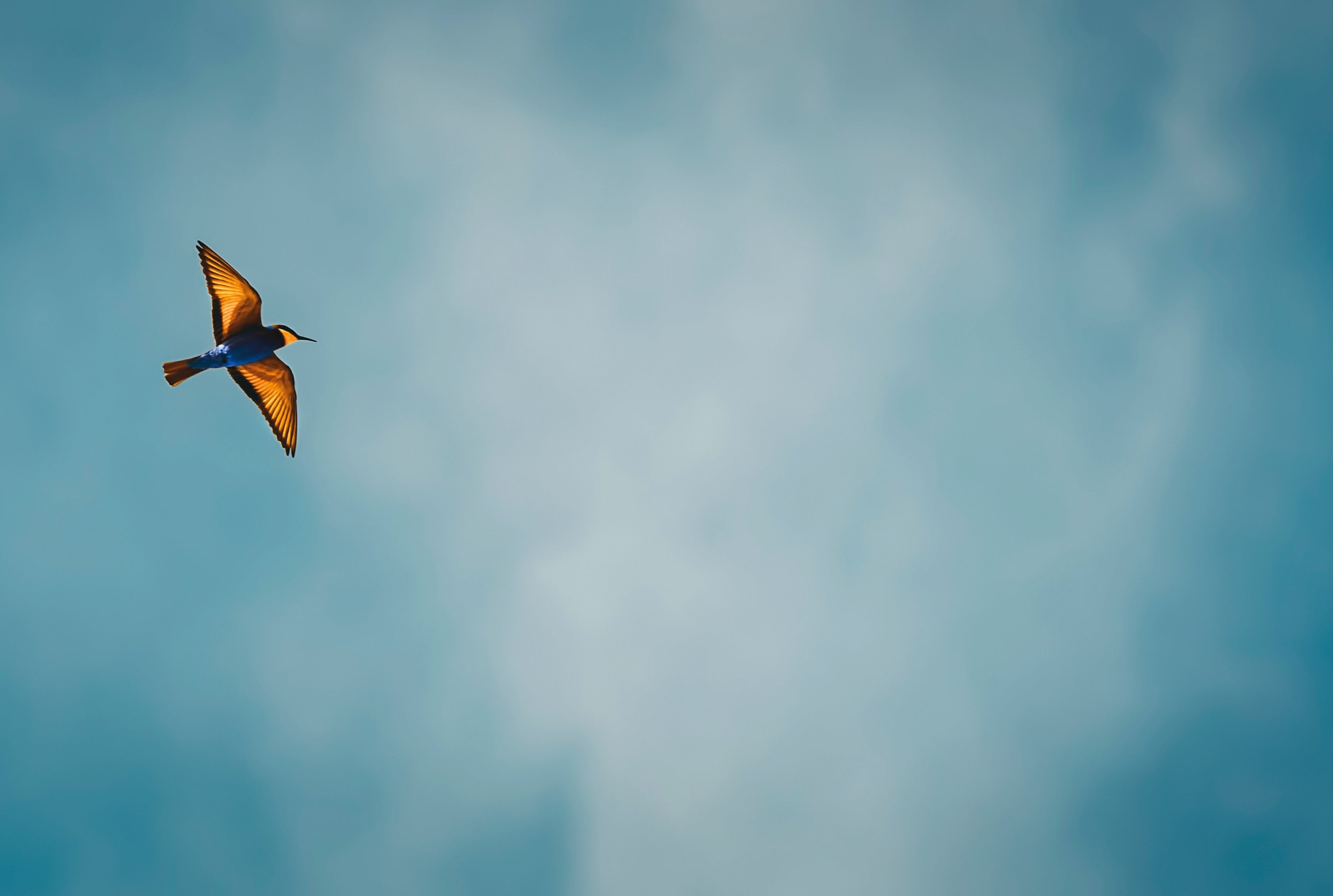 Airspirit-120x80cm.jpg