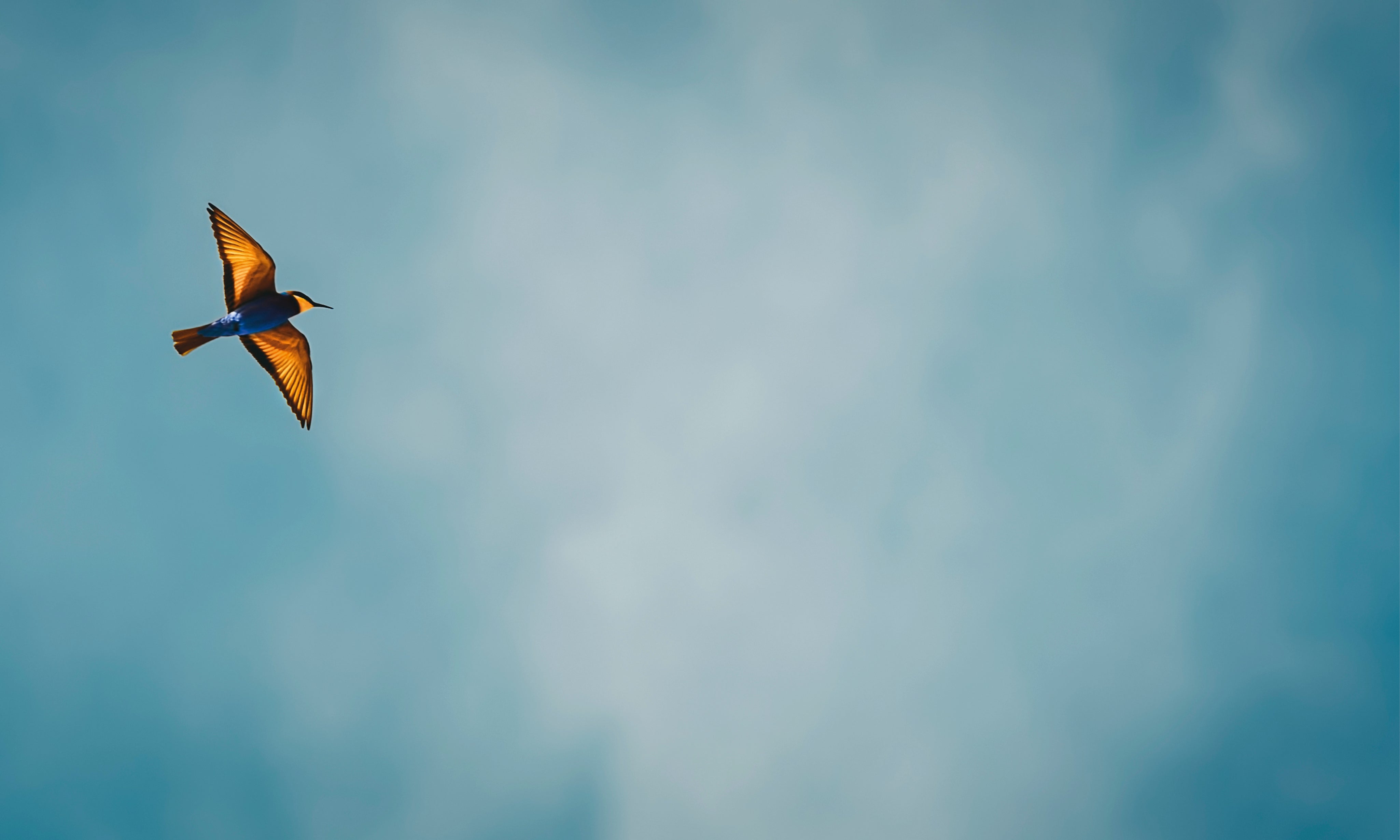 Airspirit-150x100cm.jpg