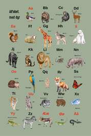 Alfabet med dyr