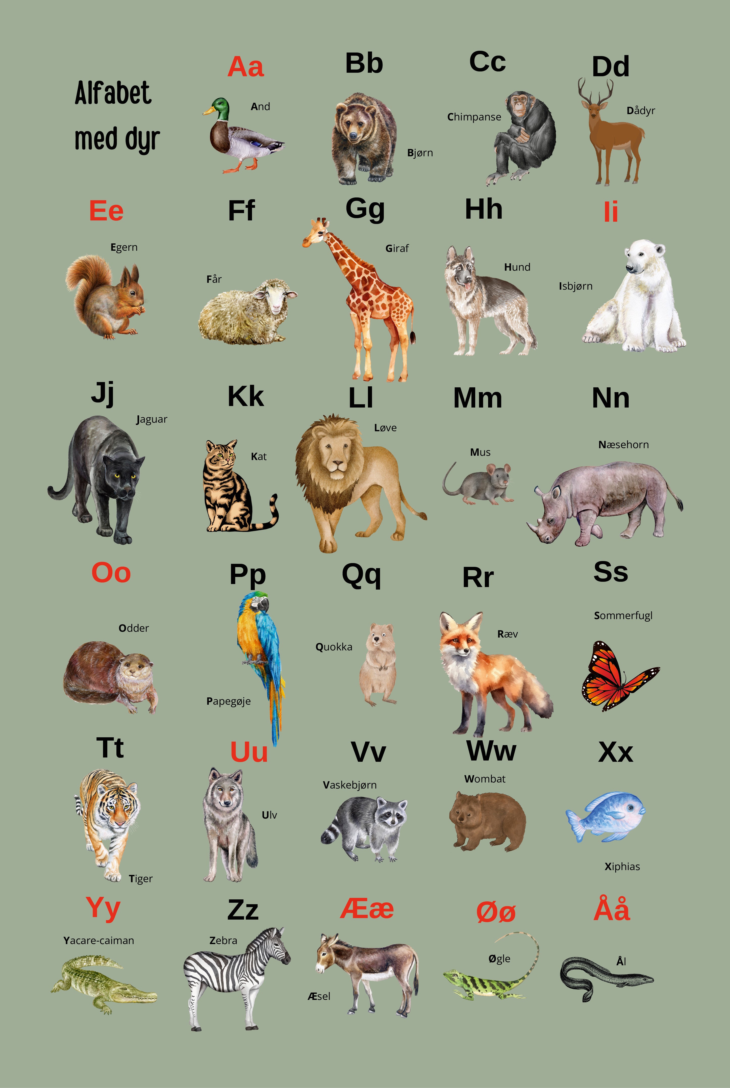 Alfabet med dyr