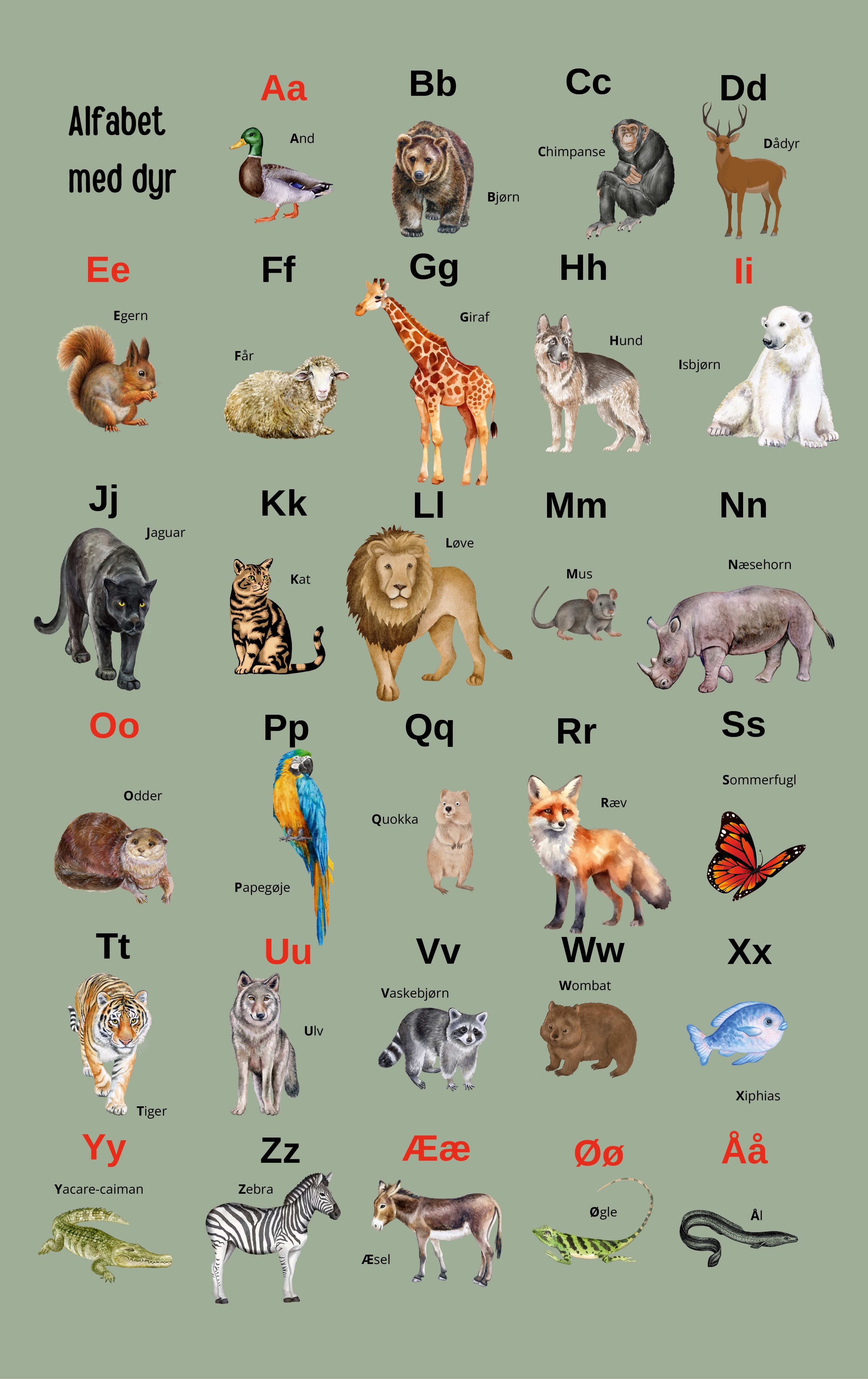 Alfabet med dyr