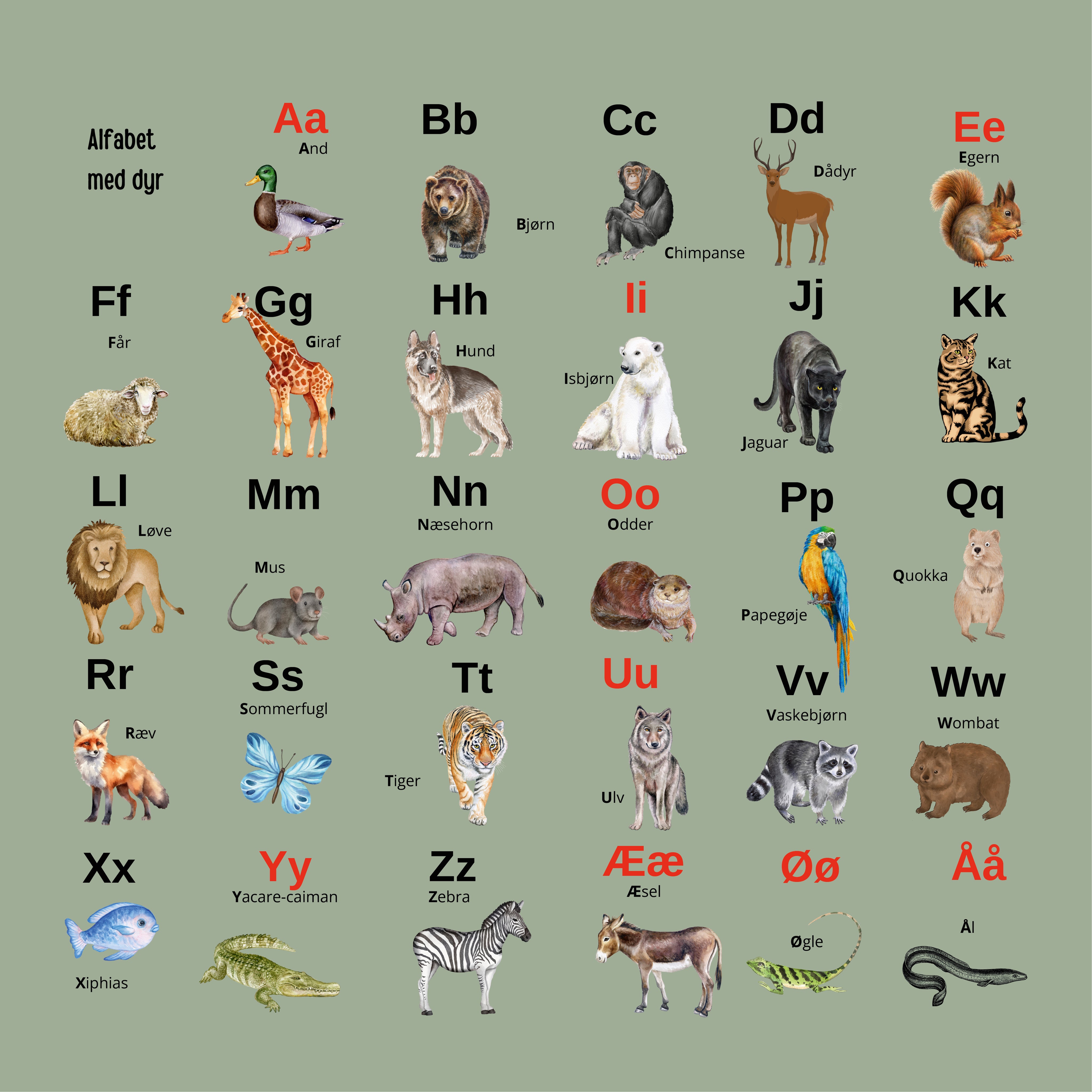 Alfabet med dyr