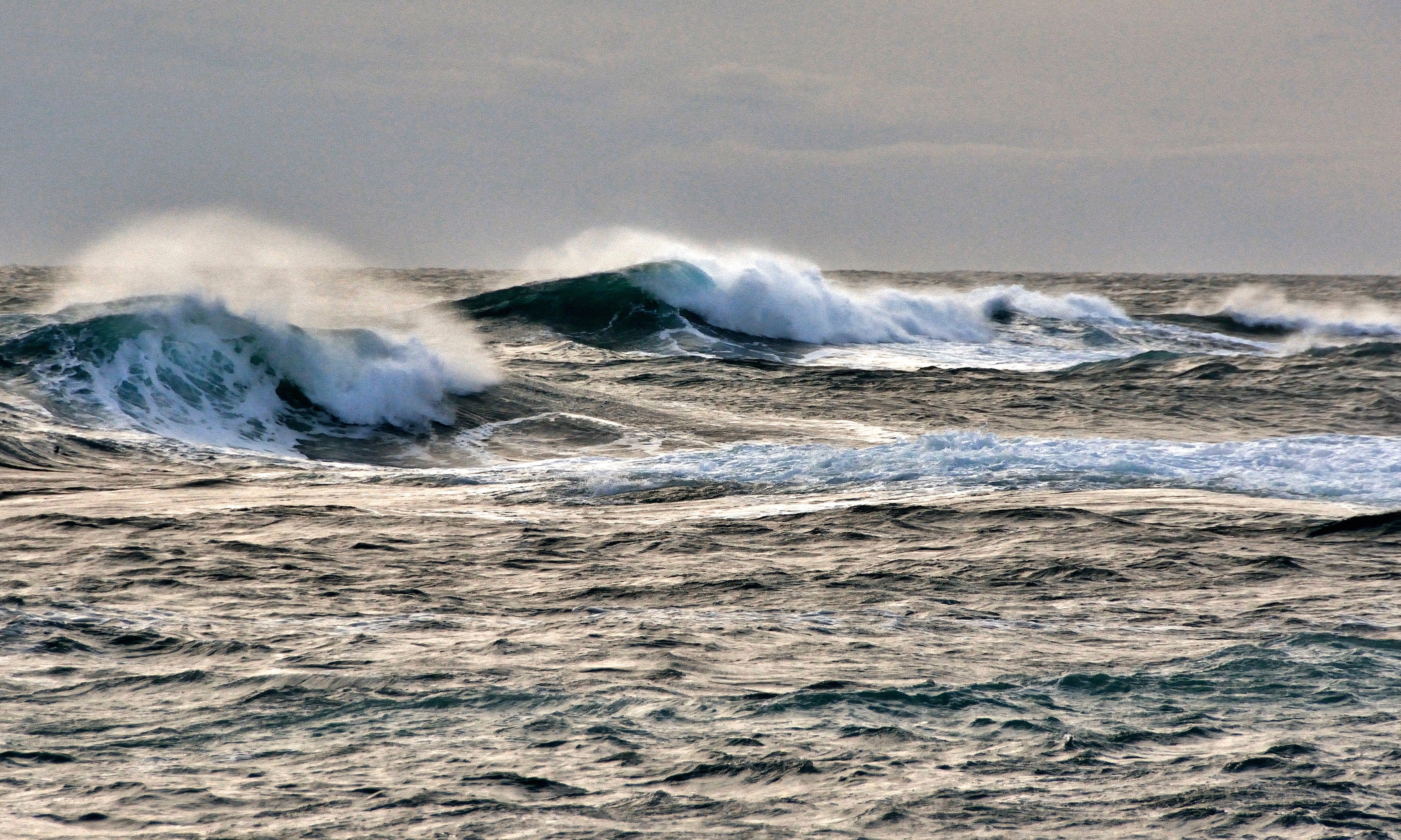 Alineofforce-120x80cm.jpg