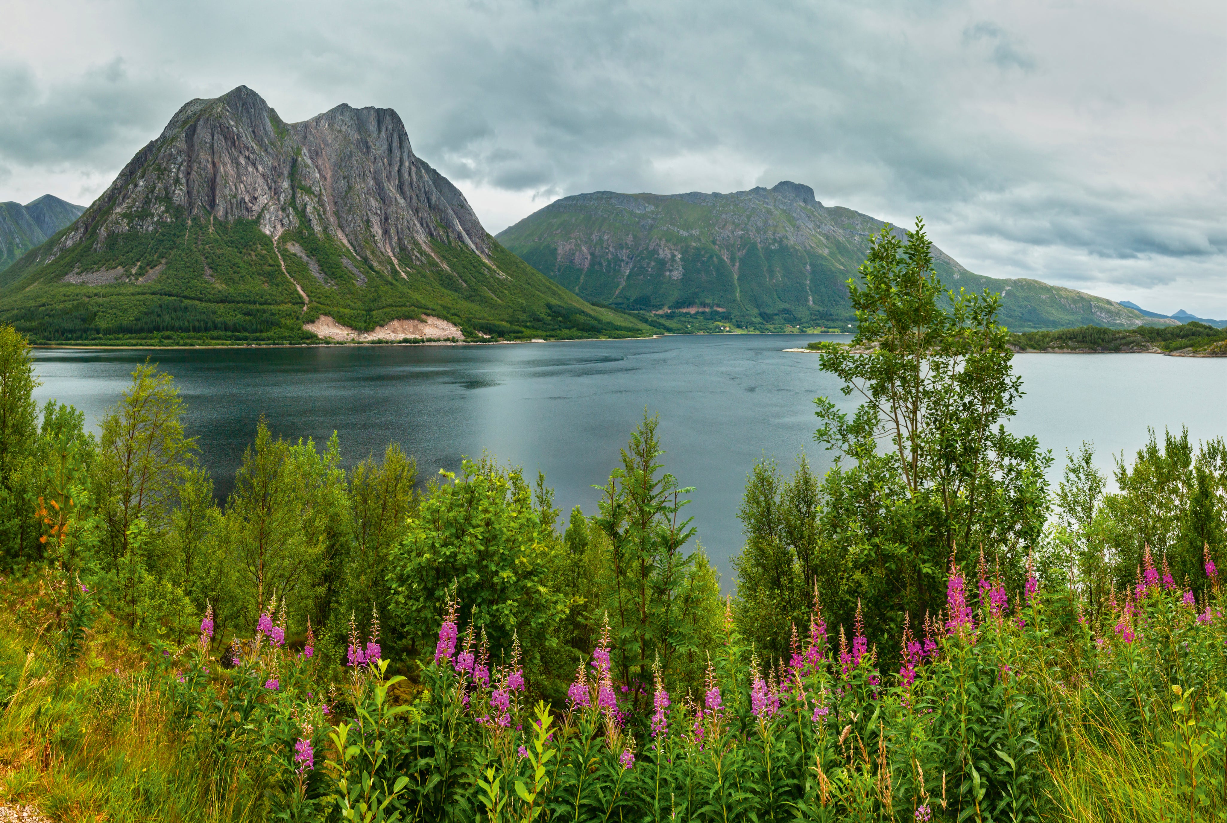 Alpinebeauty-150x100cm.jpg