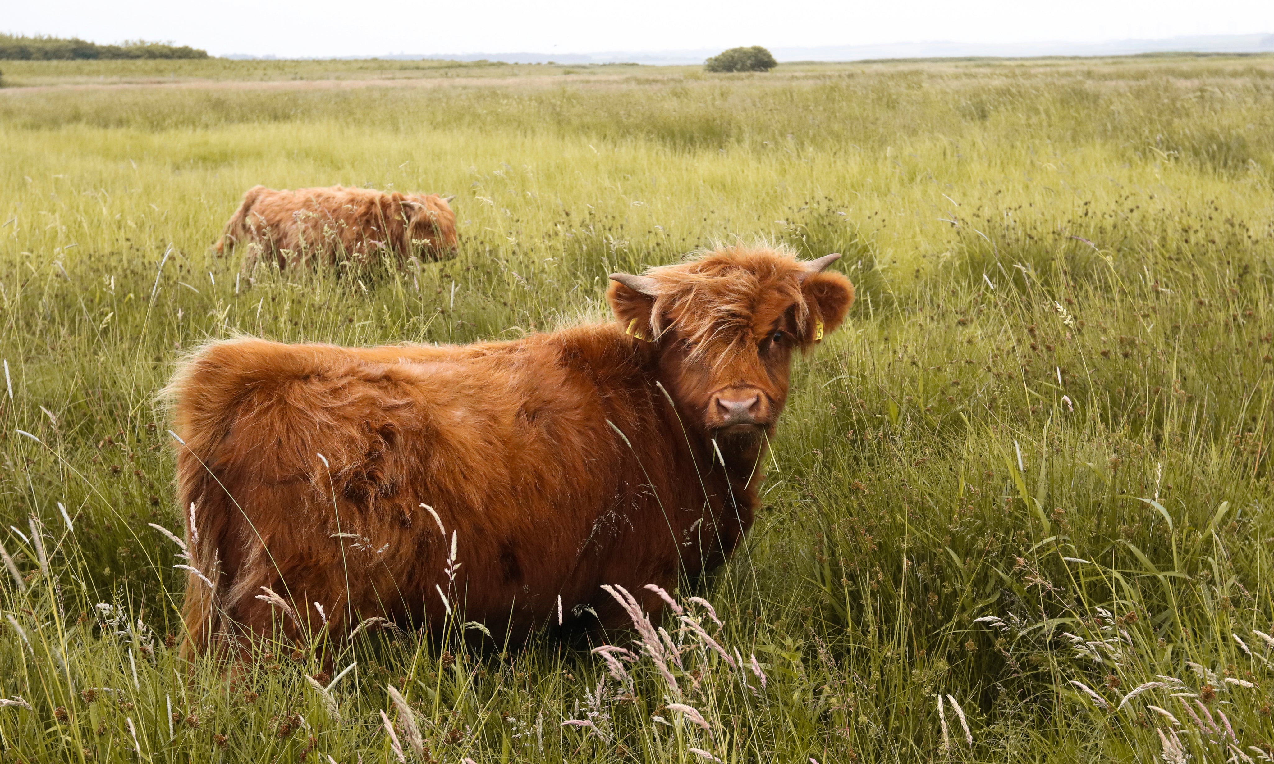 Amomentofmoo-150x100cm.jpg