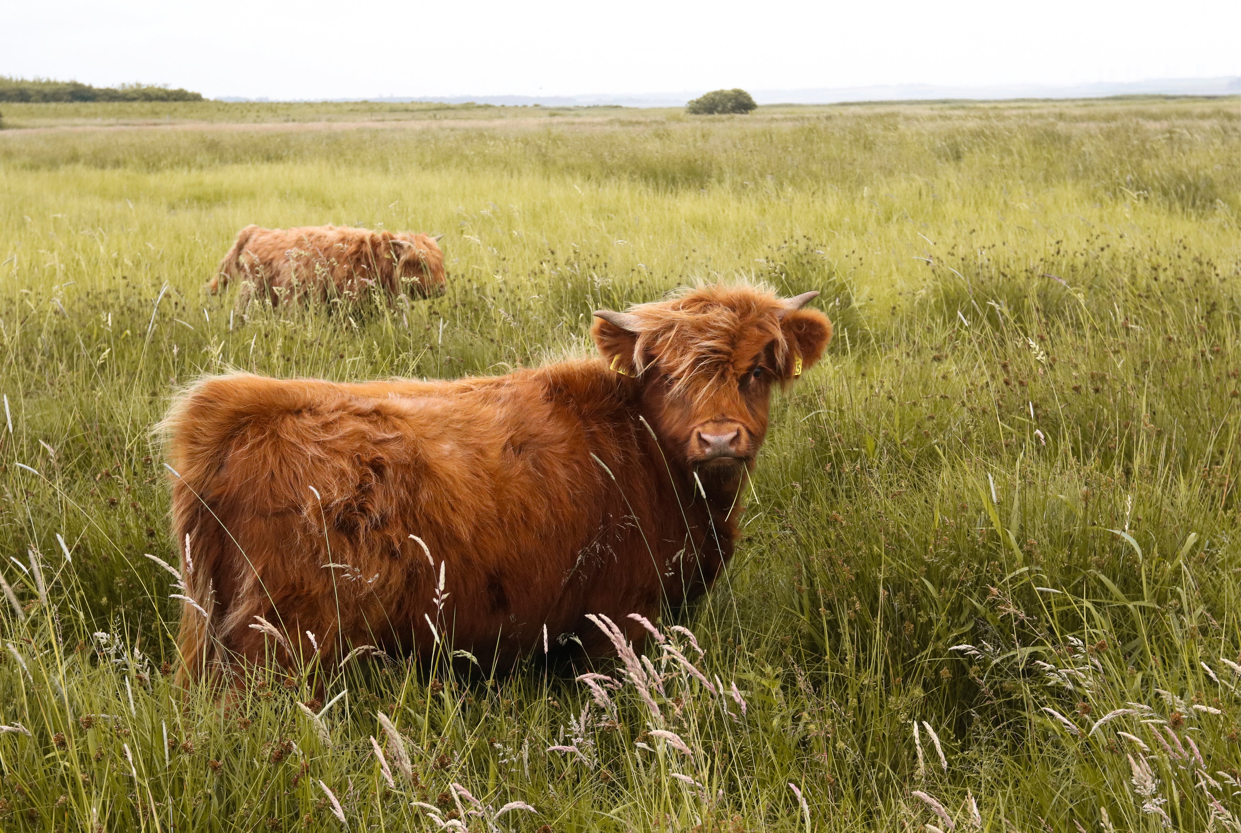 Amomentofmoo-150x100cm.jpg