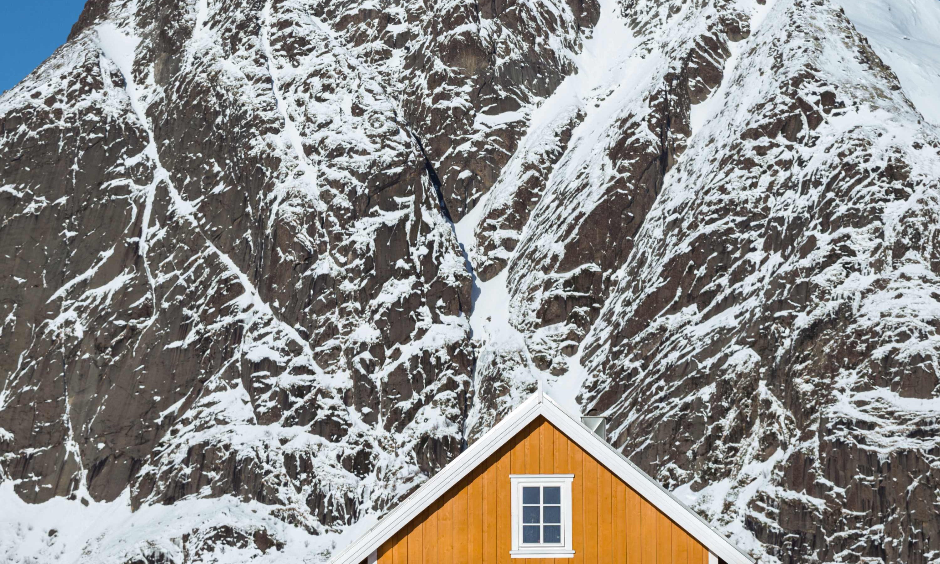 Apopofcolor-80120.jpg
