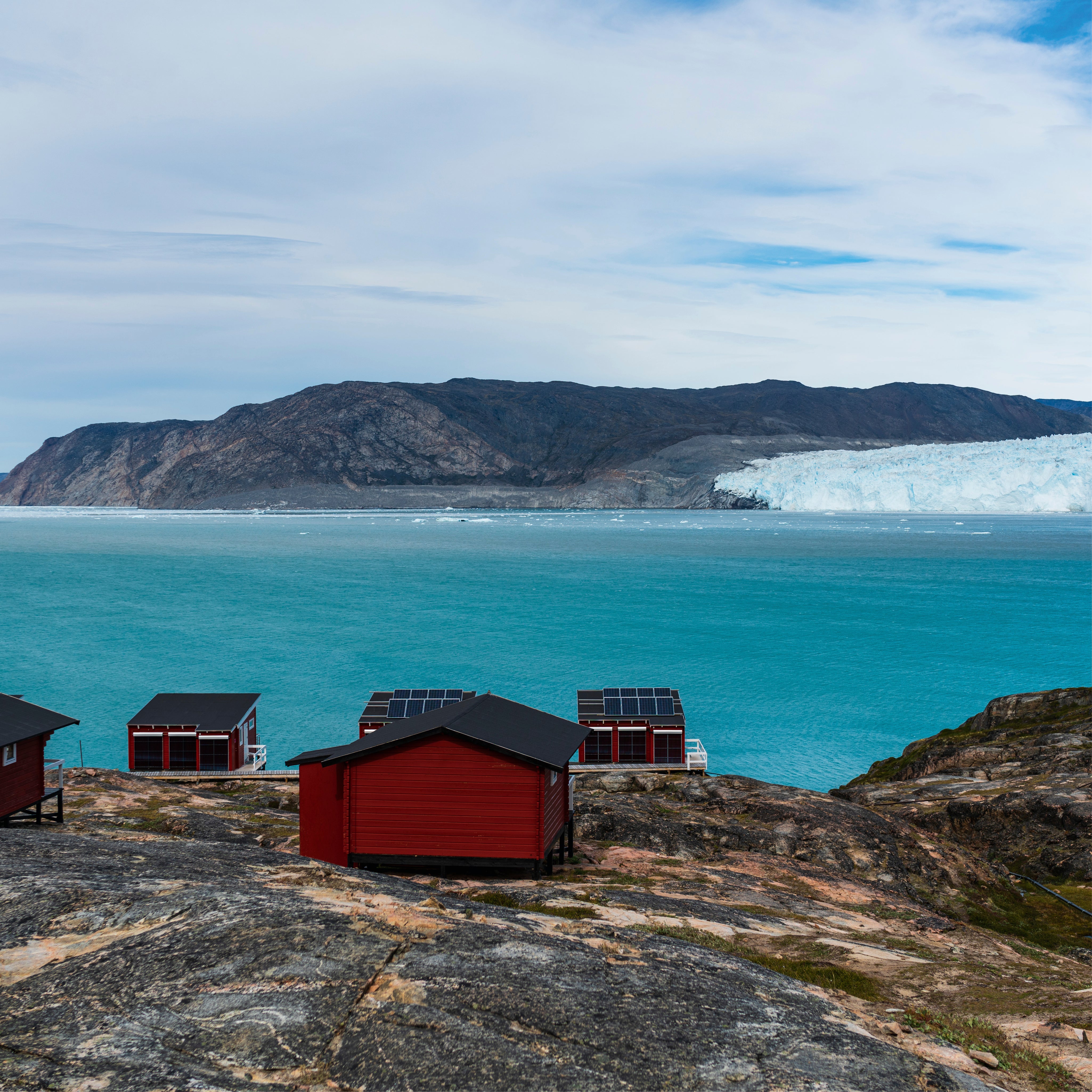 Arctica