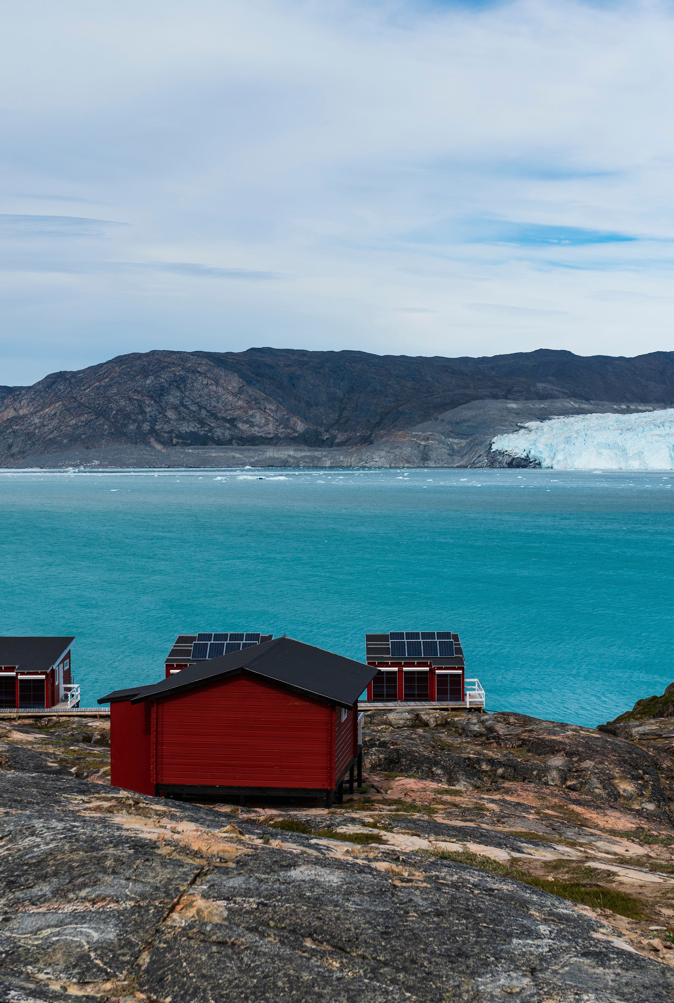 Arctica