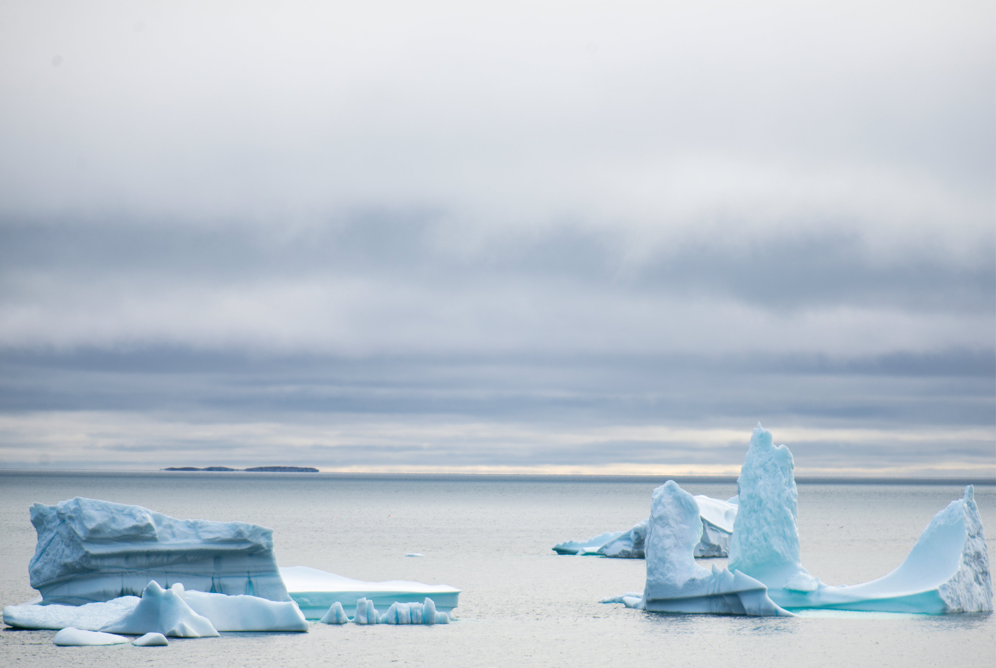Arctic art