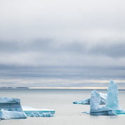 Arctic art