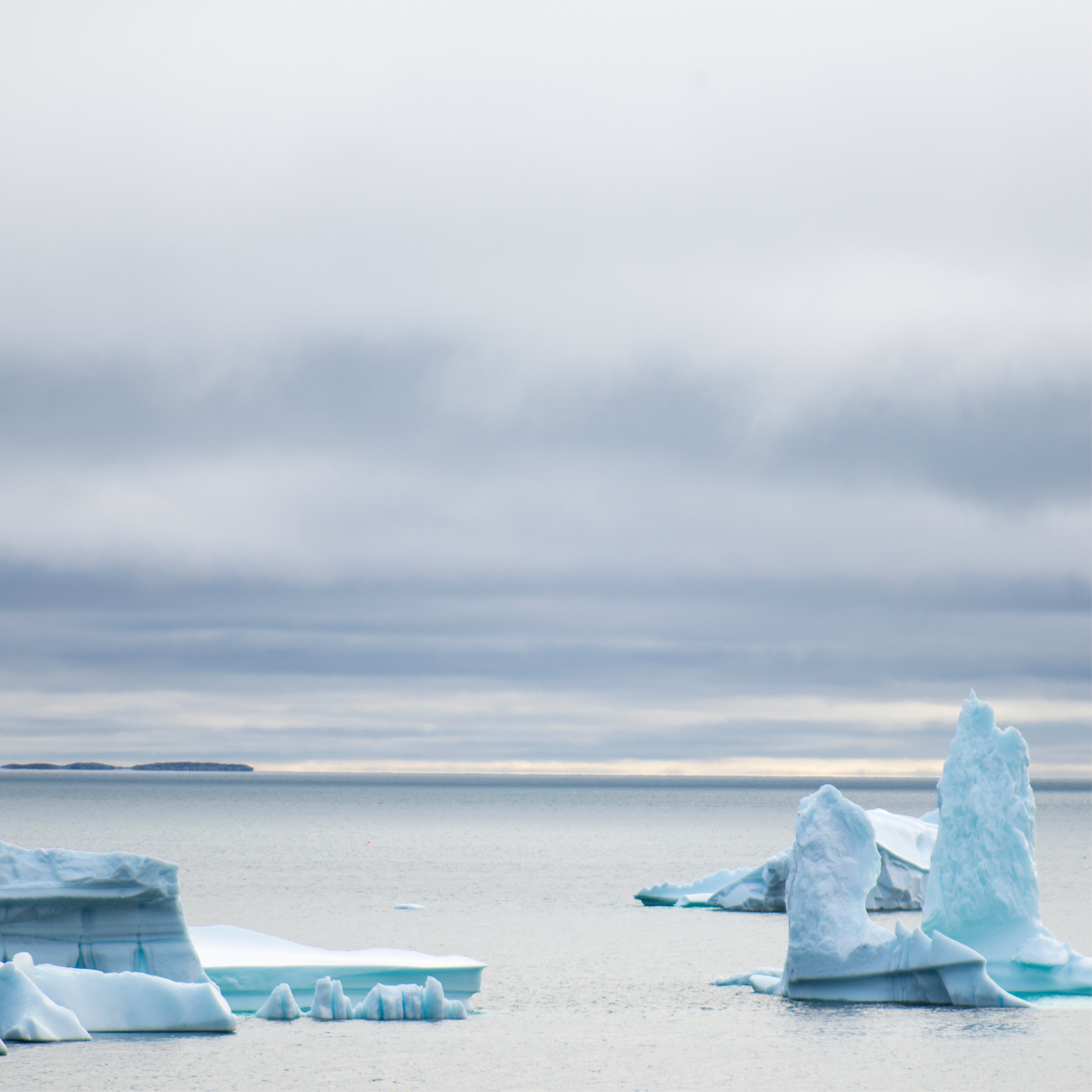 Arctic art