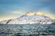 Arctic crown