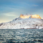 Arctic crown