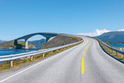 Arctic curves