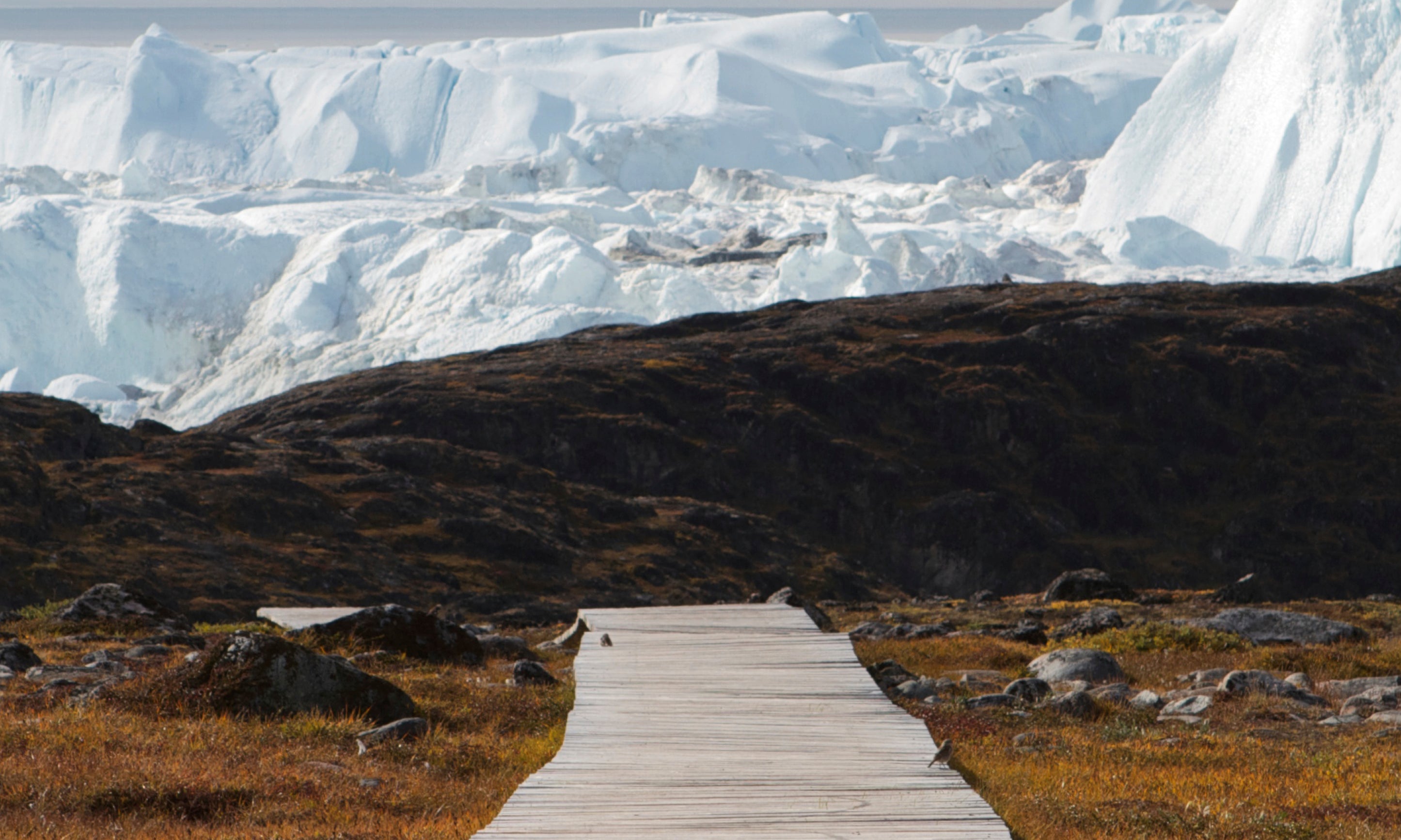 Arctictrail-100x150cm.jpg