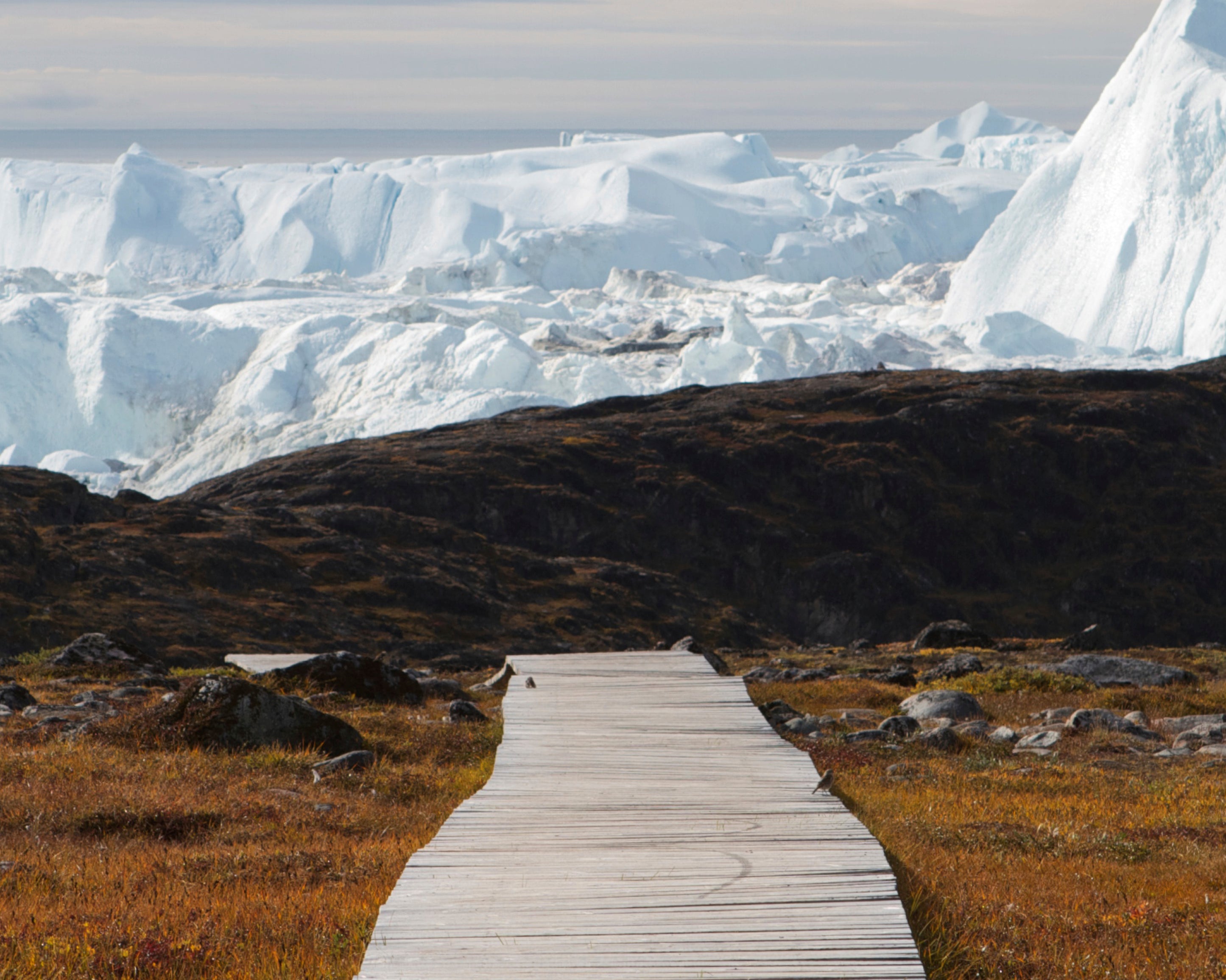 Arctictrail-100x150cm.jpg