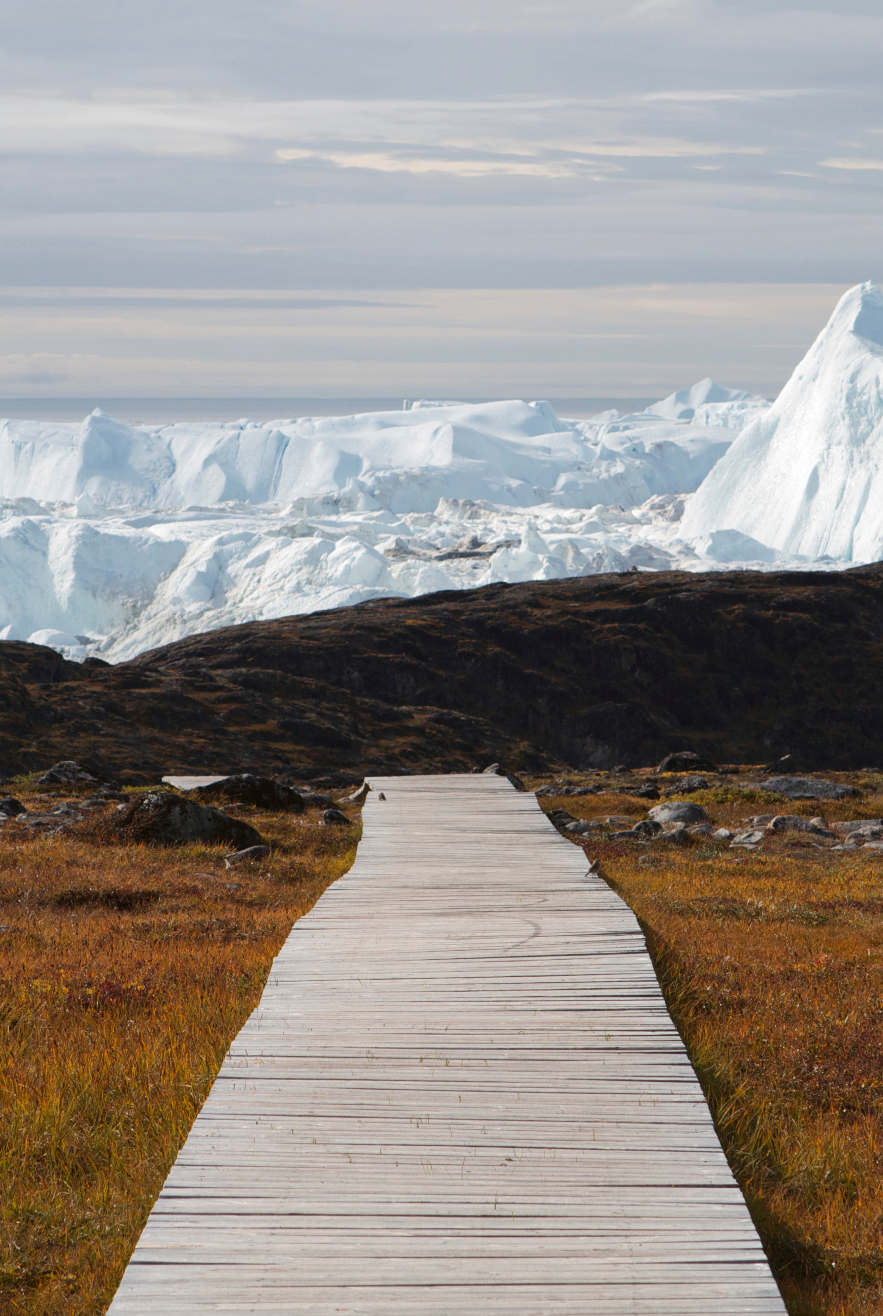 Arctic trail