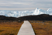 Arctic trail