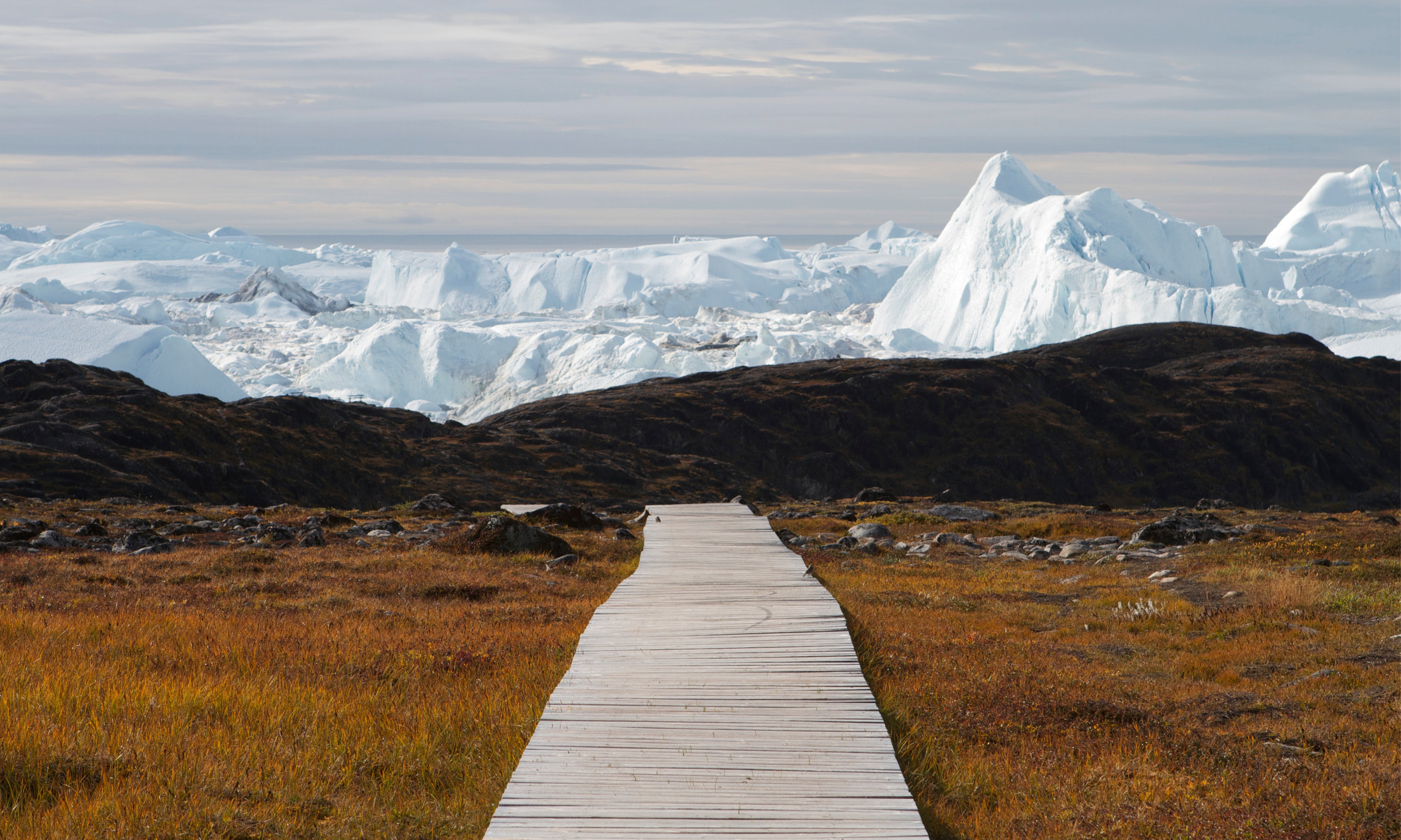 Arctictrail-150x100cm.jpg