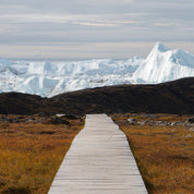 Arctic trail