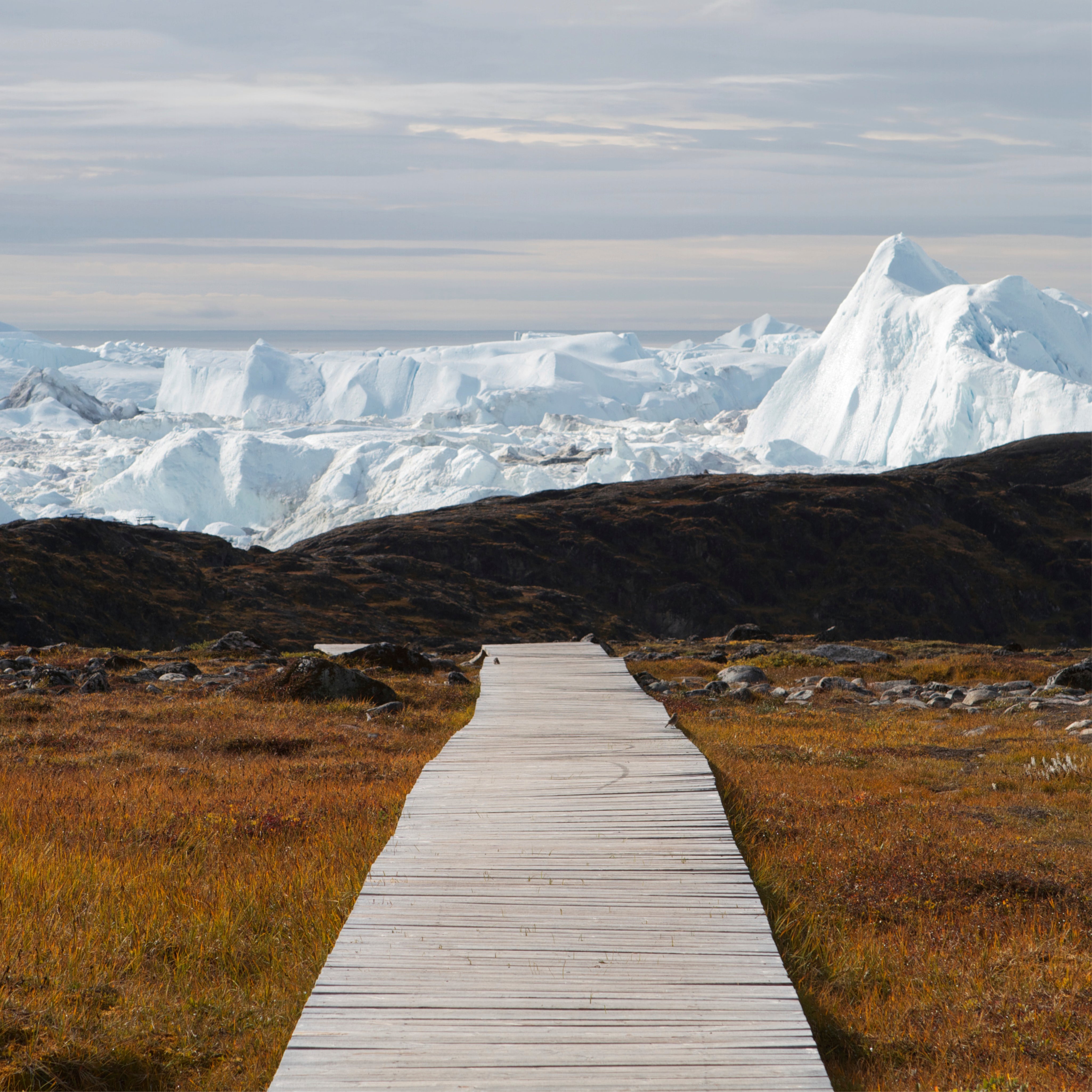 Arctic trail