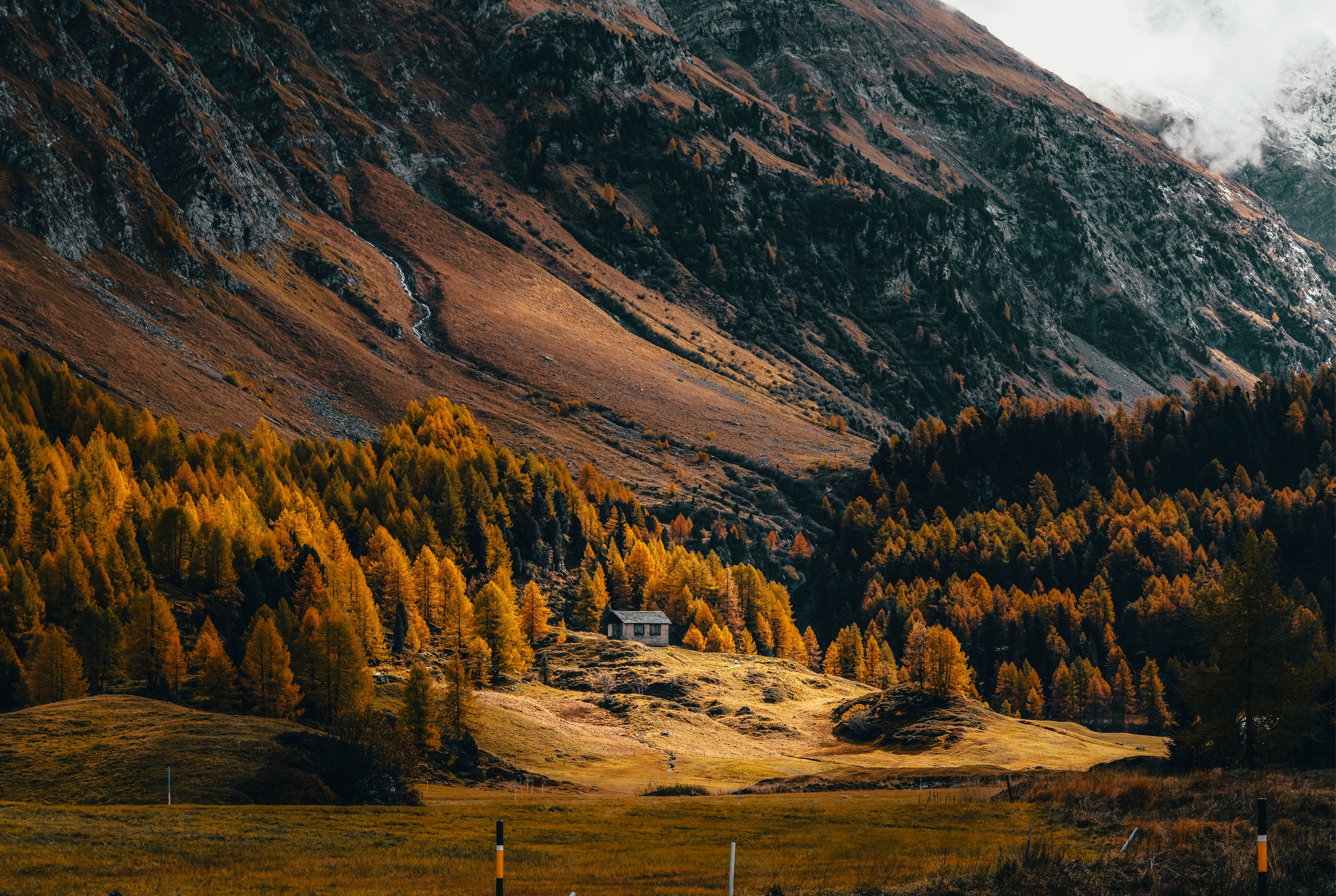 Ashorethecalm-150x100cm.jpg