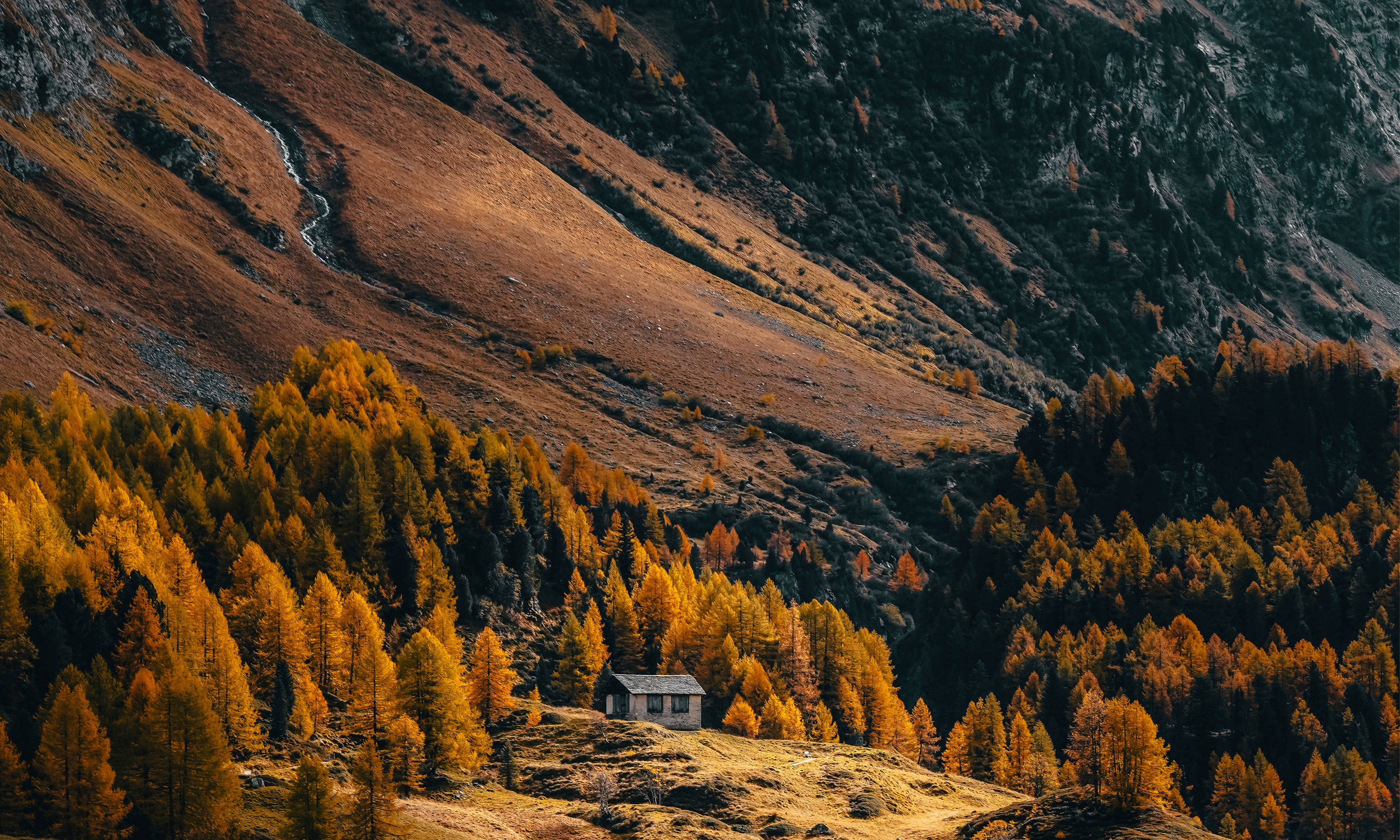 Ashorethecalm-150x150cm.jpg