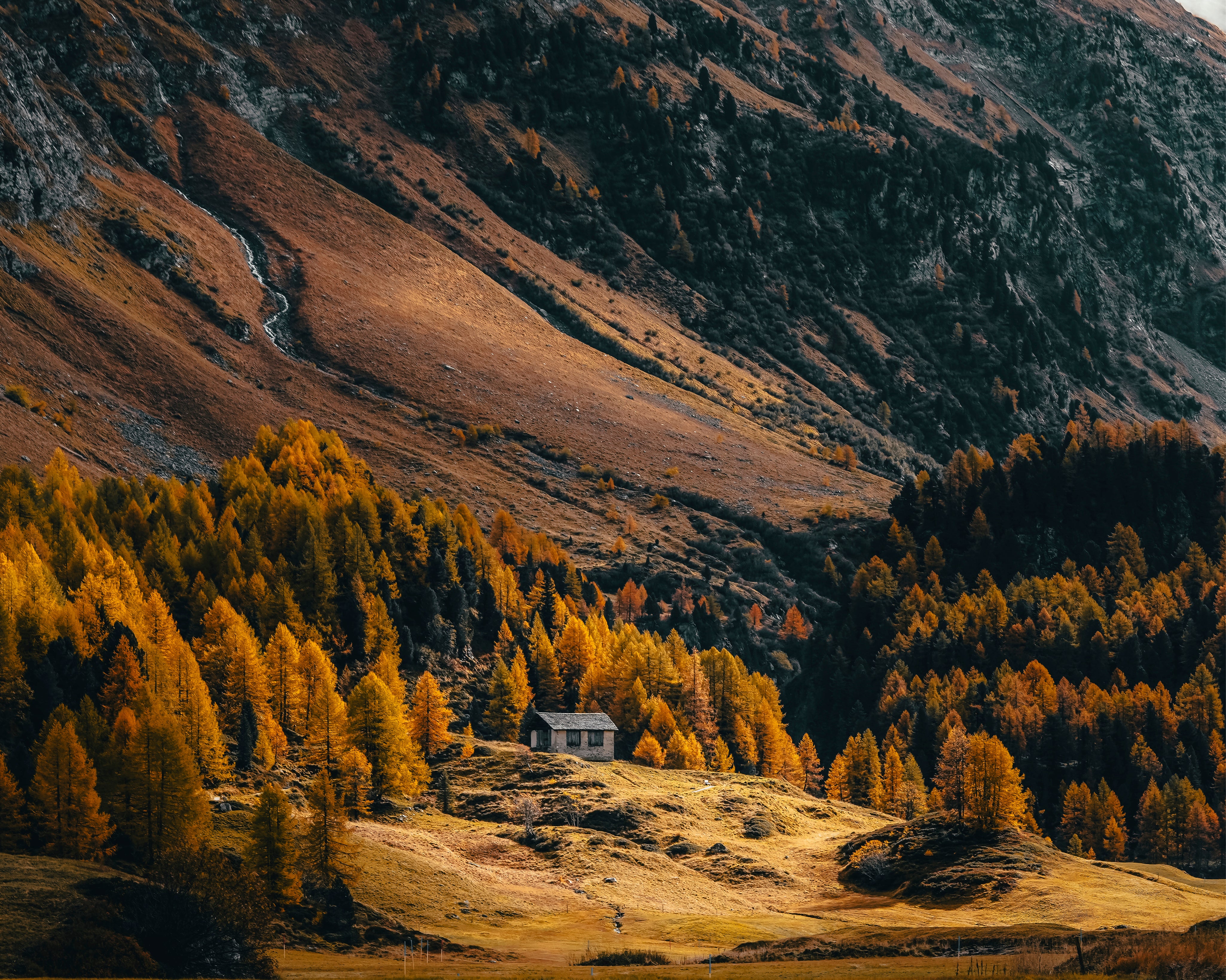 Ashorethecalm-150x150cm.jpg