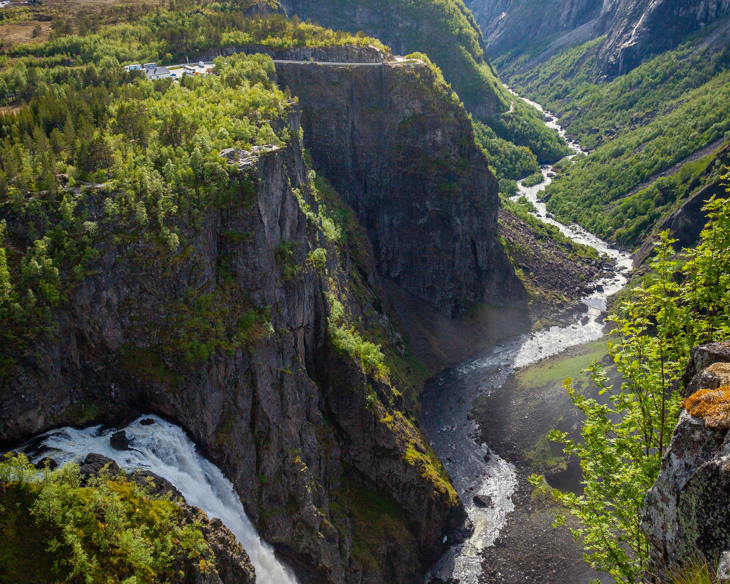 Asilentrush-80x120cm.jpg
