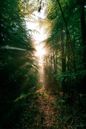 A touch of light