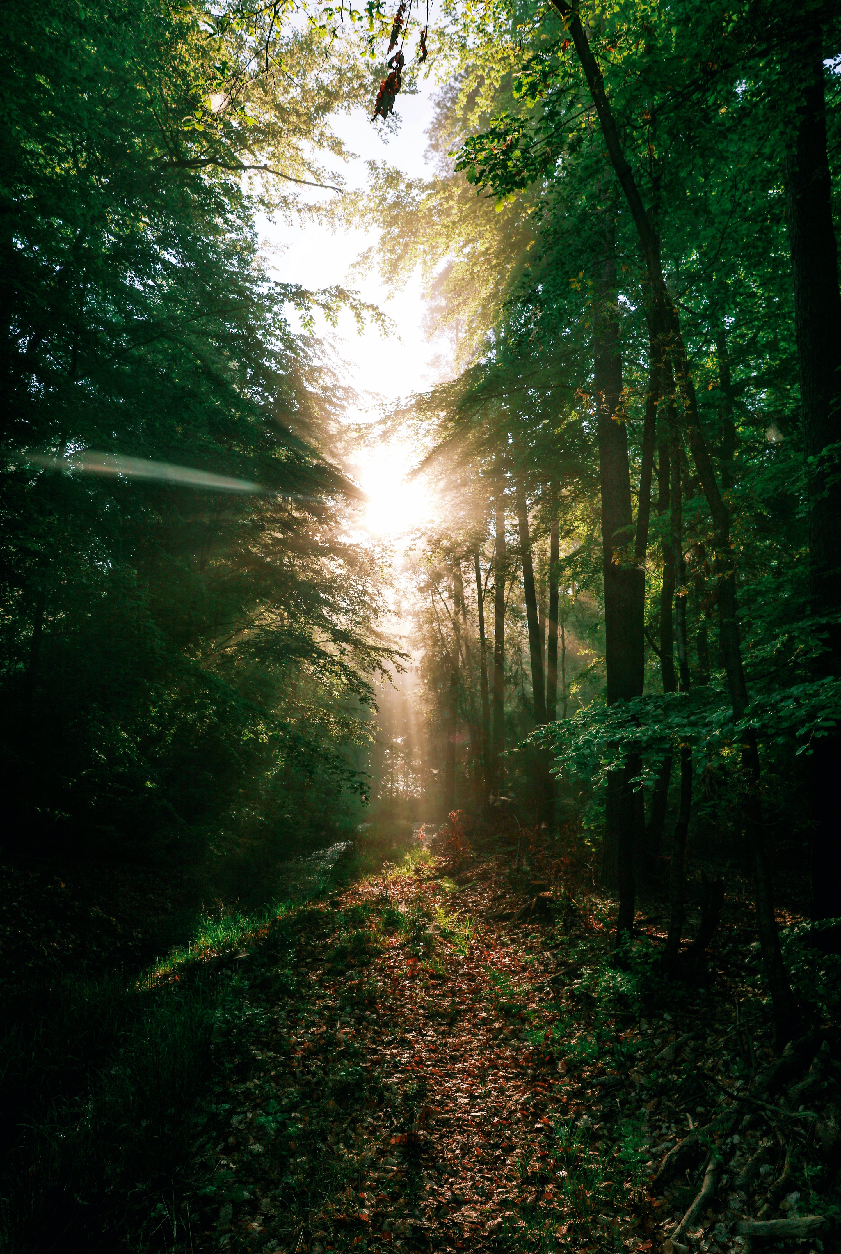 A touch of light