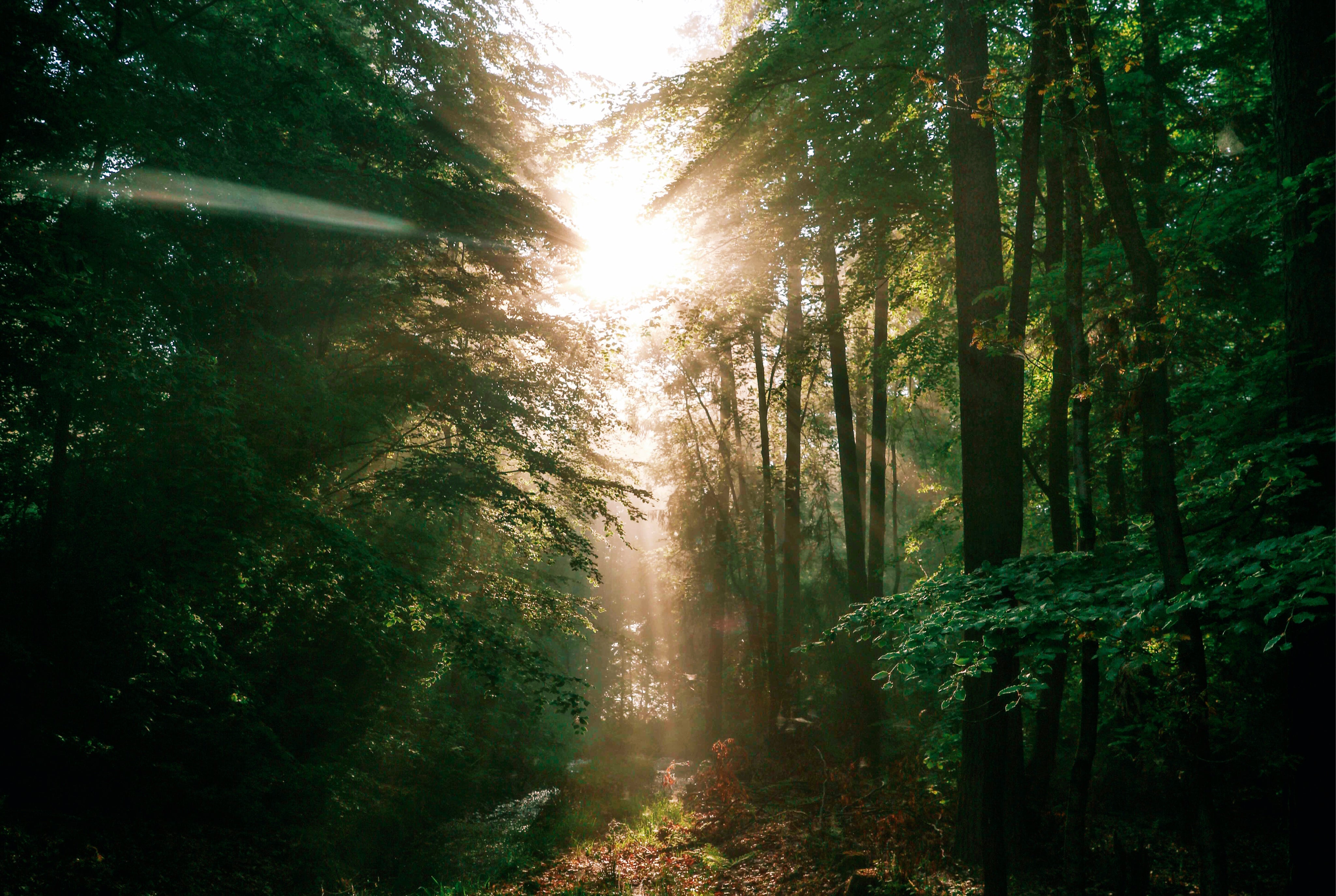 Atouchoflight-150x100cm.jpg