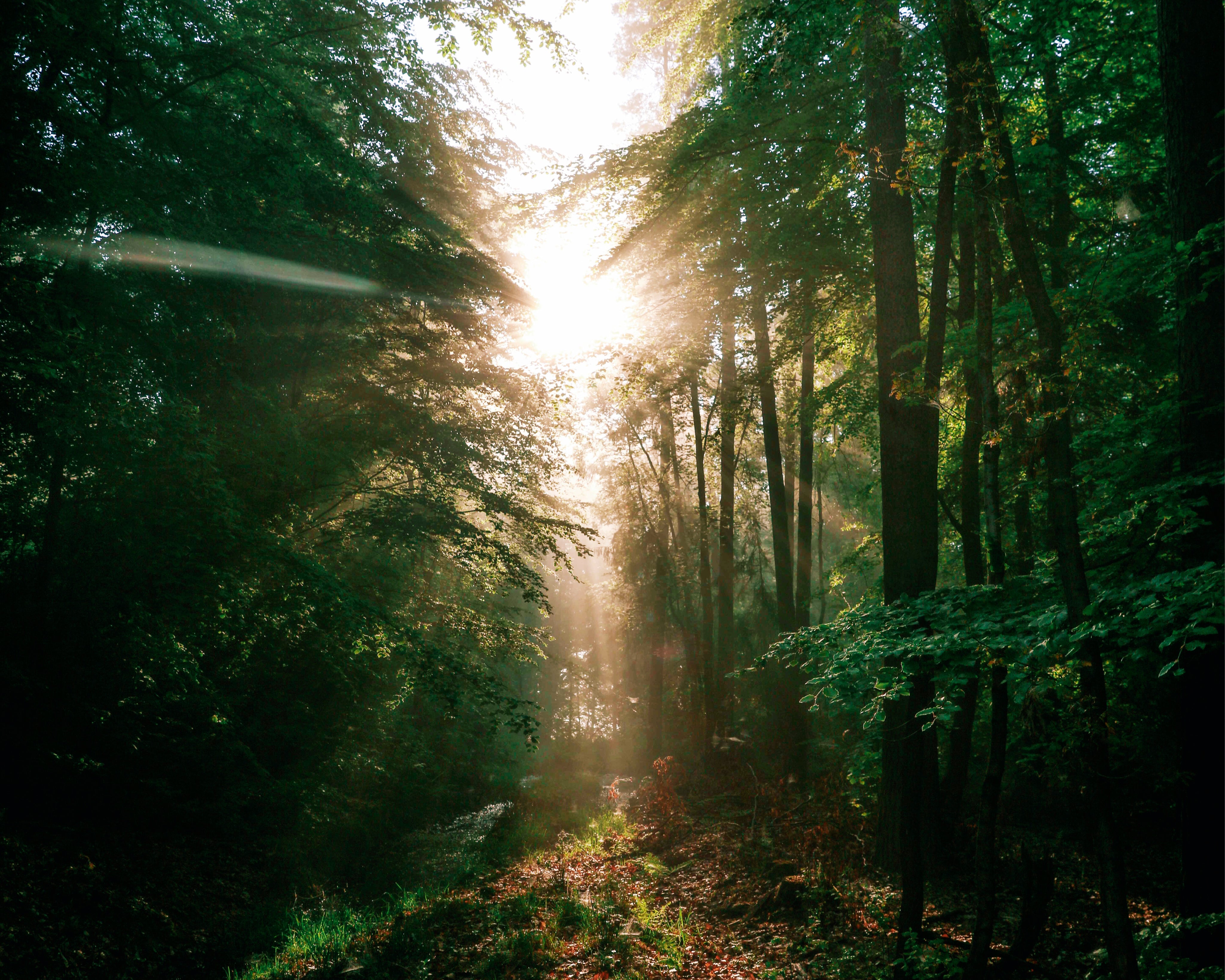 Atouchoflight-150x150cm.jpg