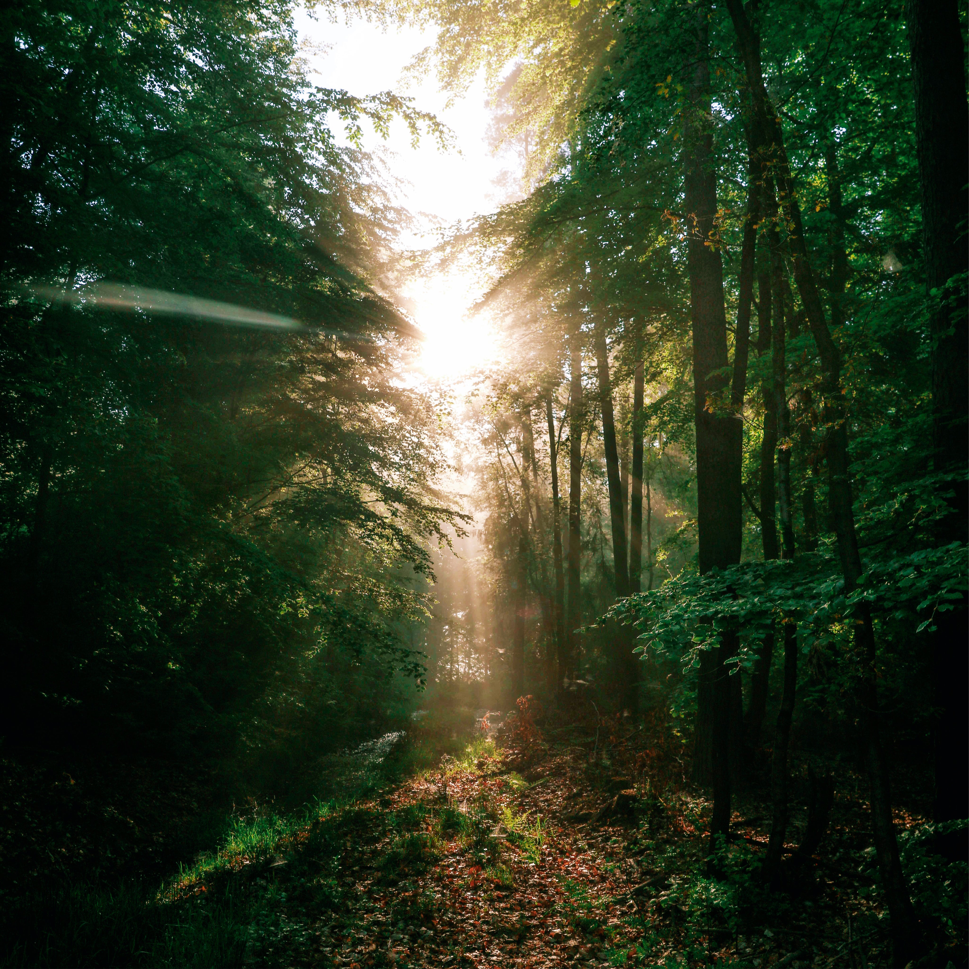 A touch of light