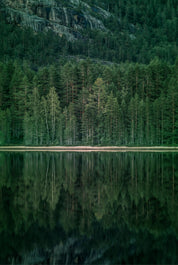 A tranquil shore