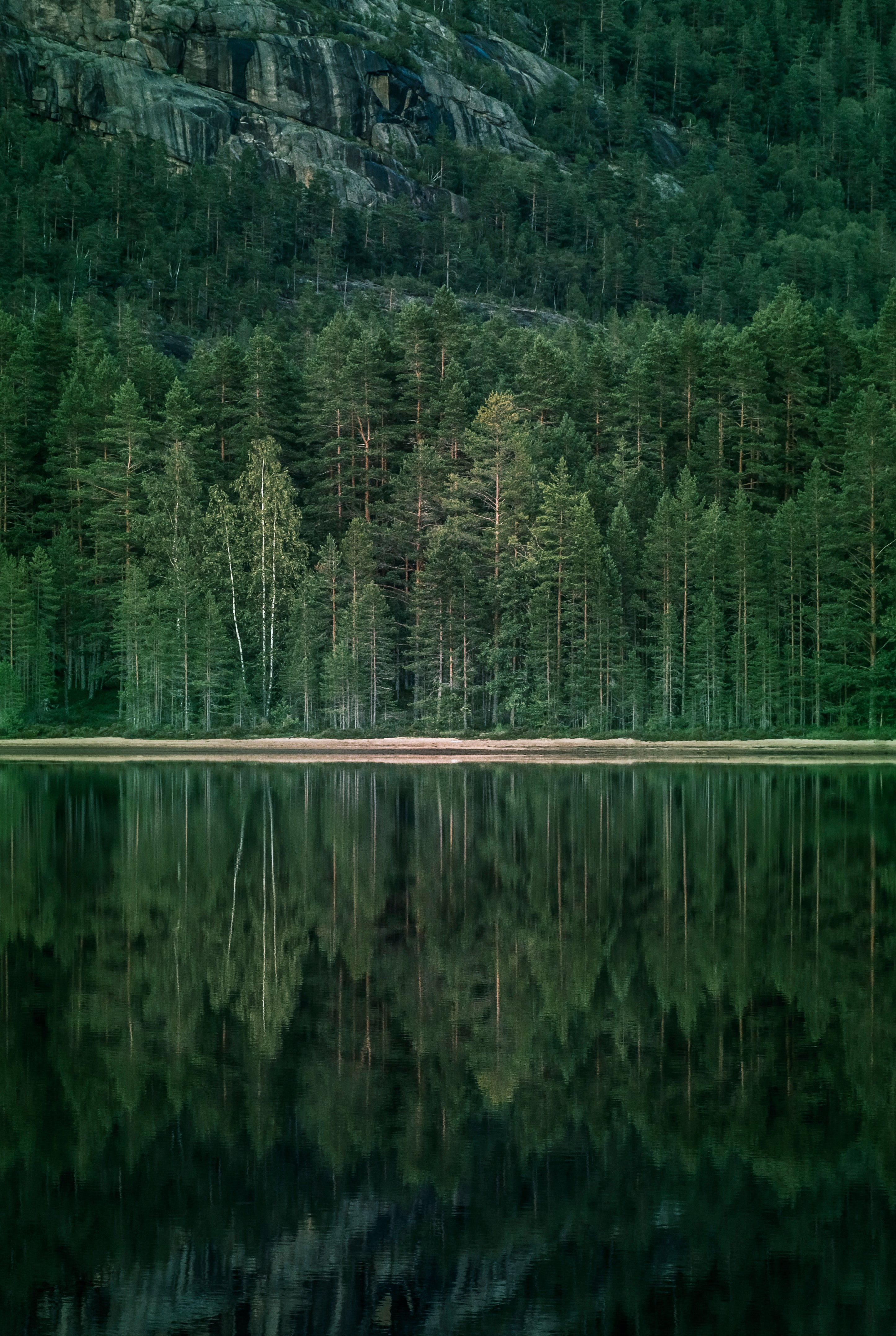 A tranquil shore