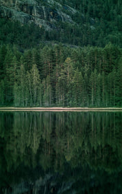 A tranquil shore