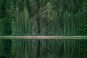 A tranquil shore