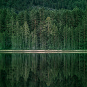 A tranquil shore