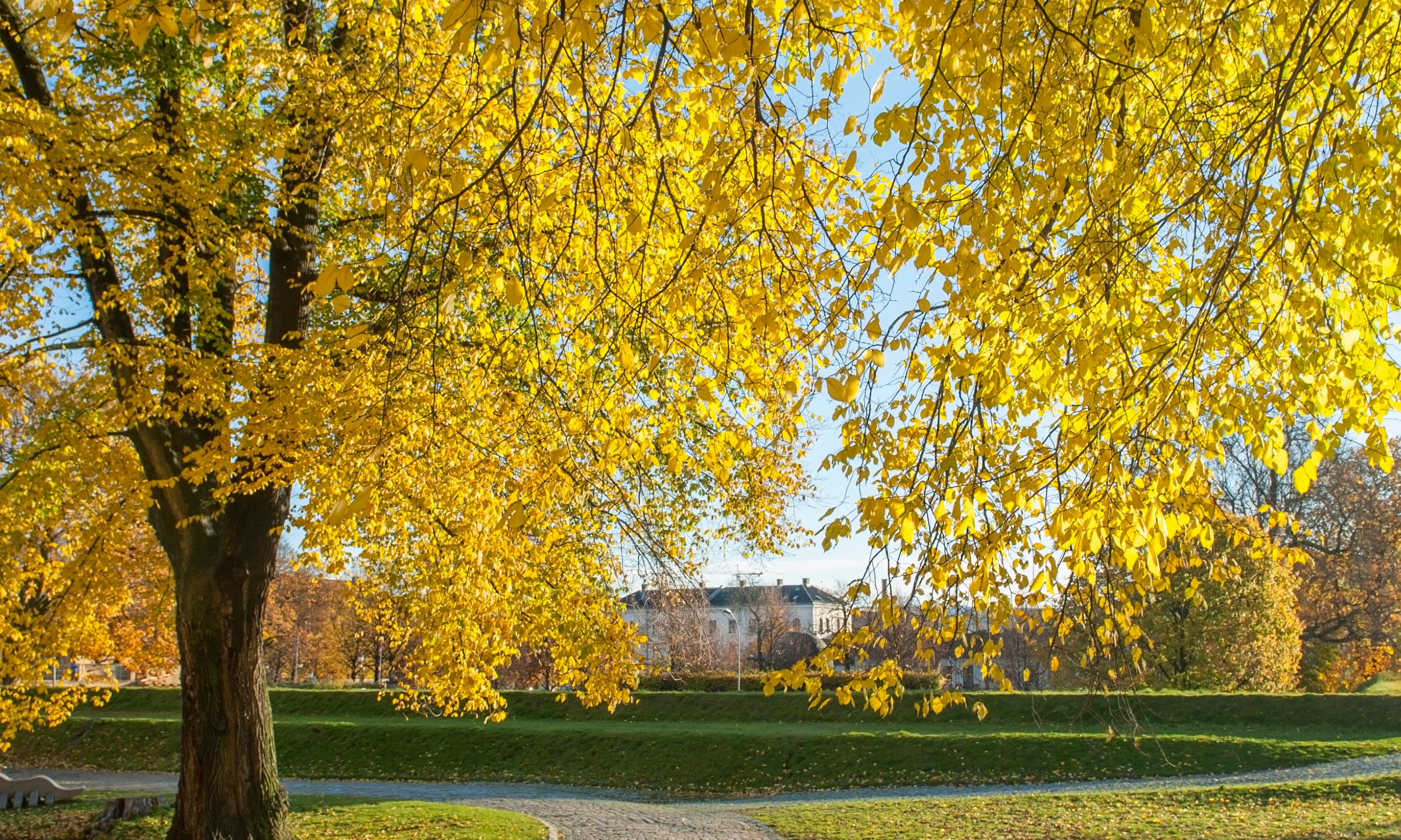 Autumn_sWay-100x150cm.jpg