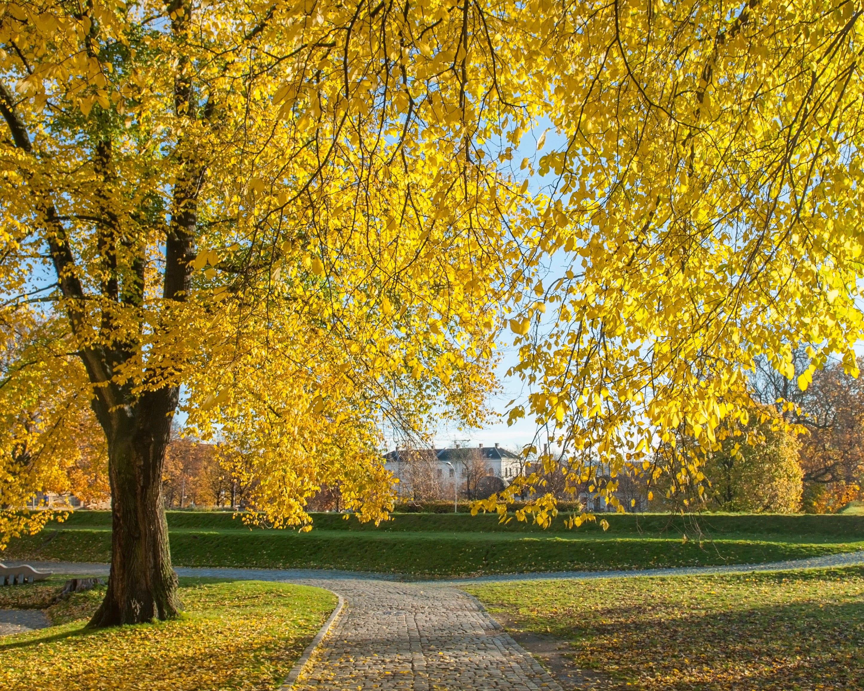 Autumn_sWay-100x150cm.jpg