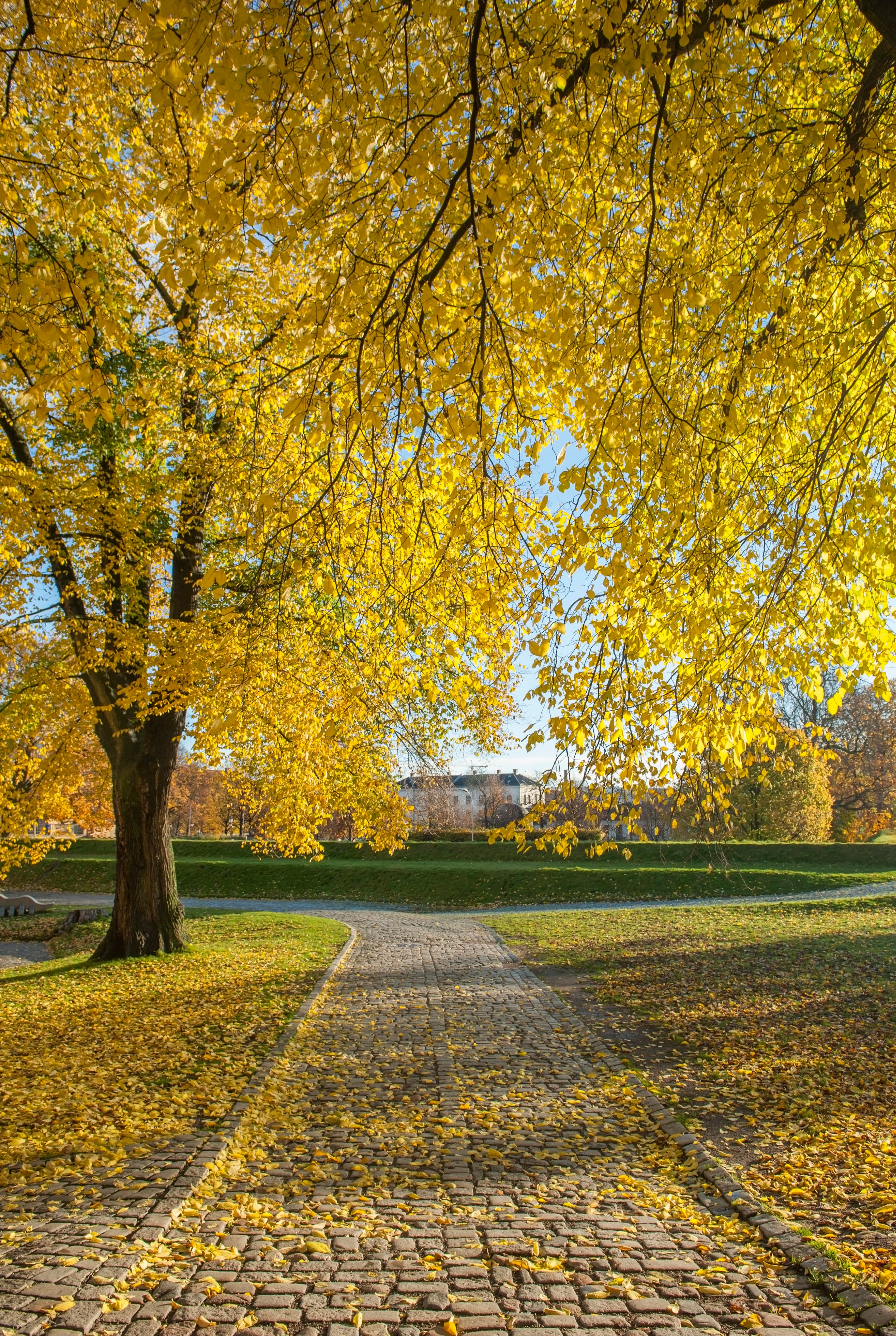 Autumn’s Way