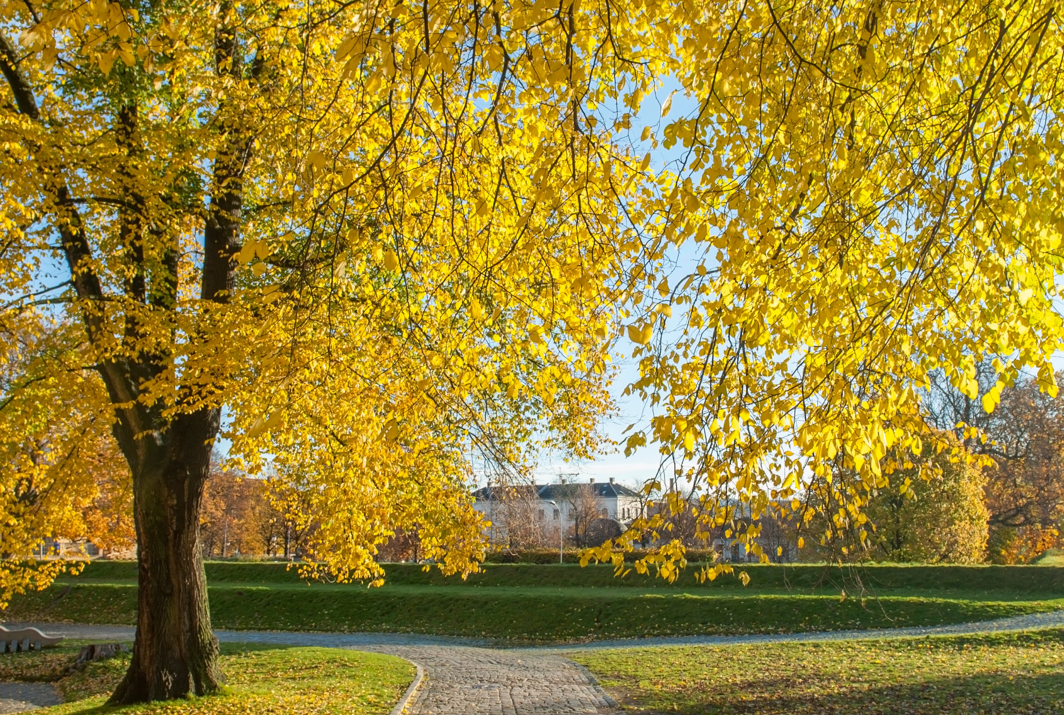 Autumn_sWay-120x80cm.jpg