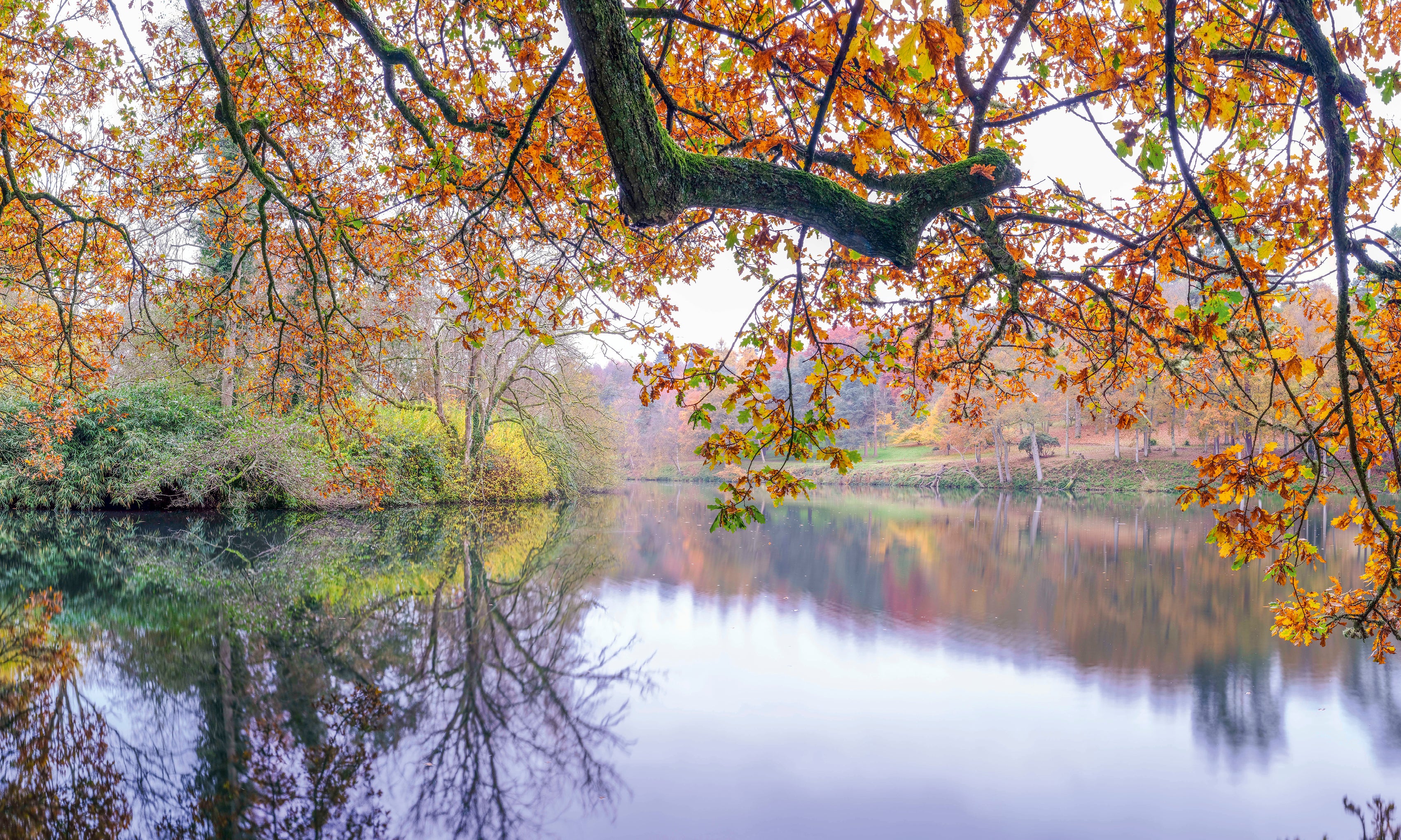 AutumnalWaterway-120x80cm.jpg
