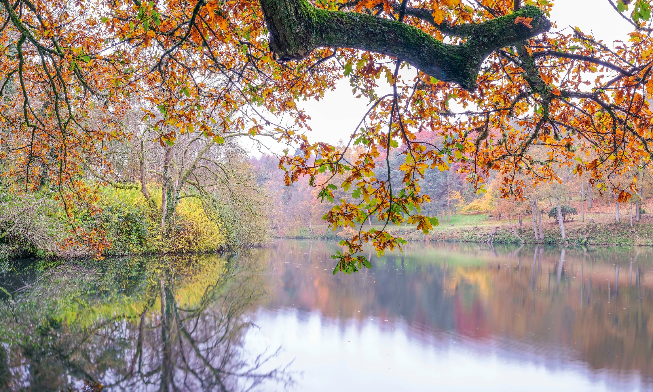 AutumnalWaterway-80x80cm.jpg