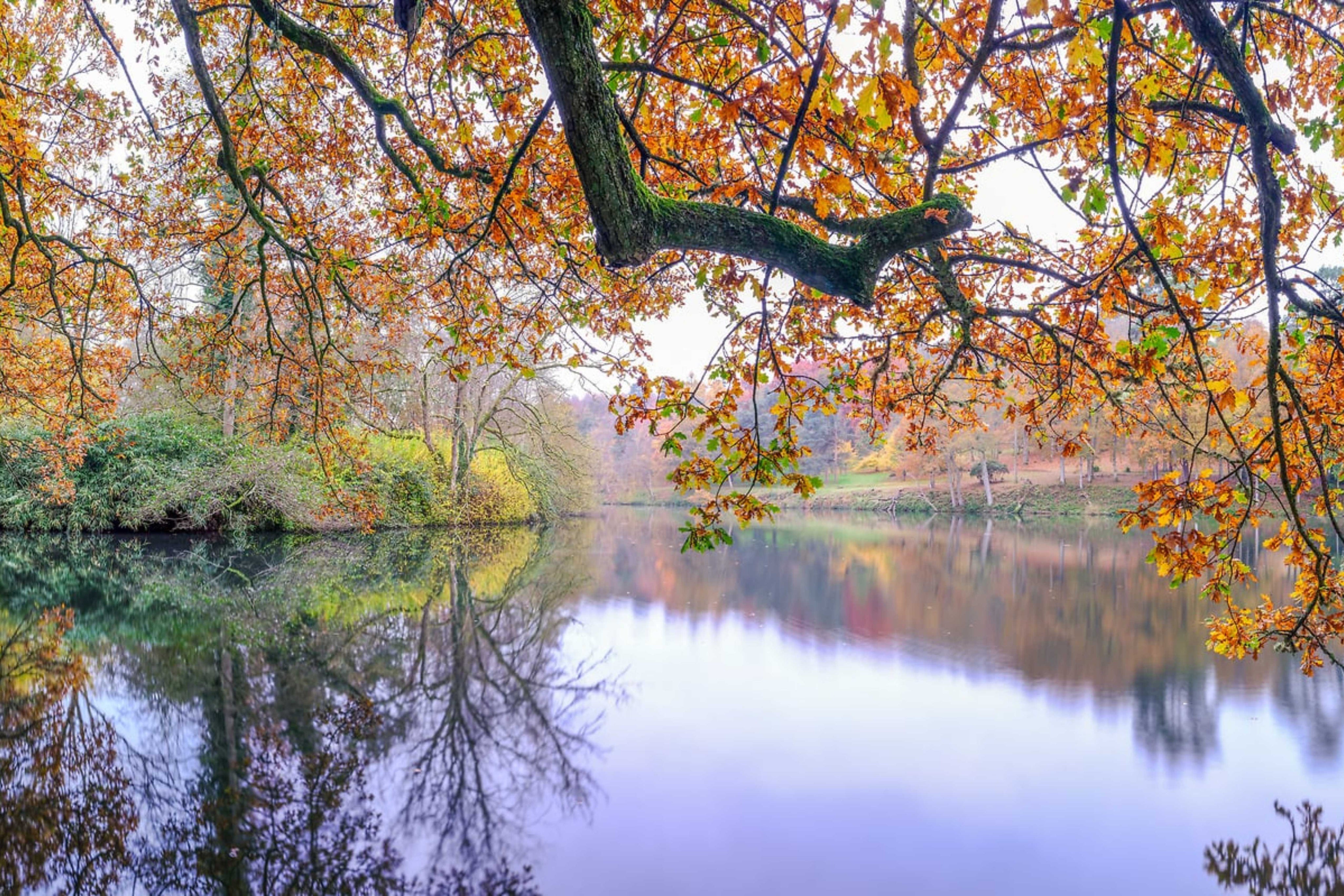 Autumnal Waterway