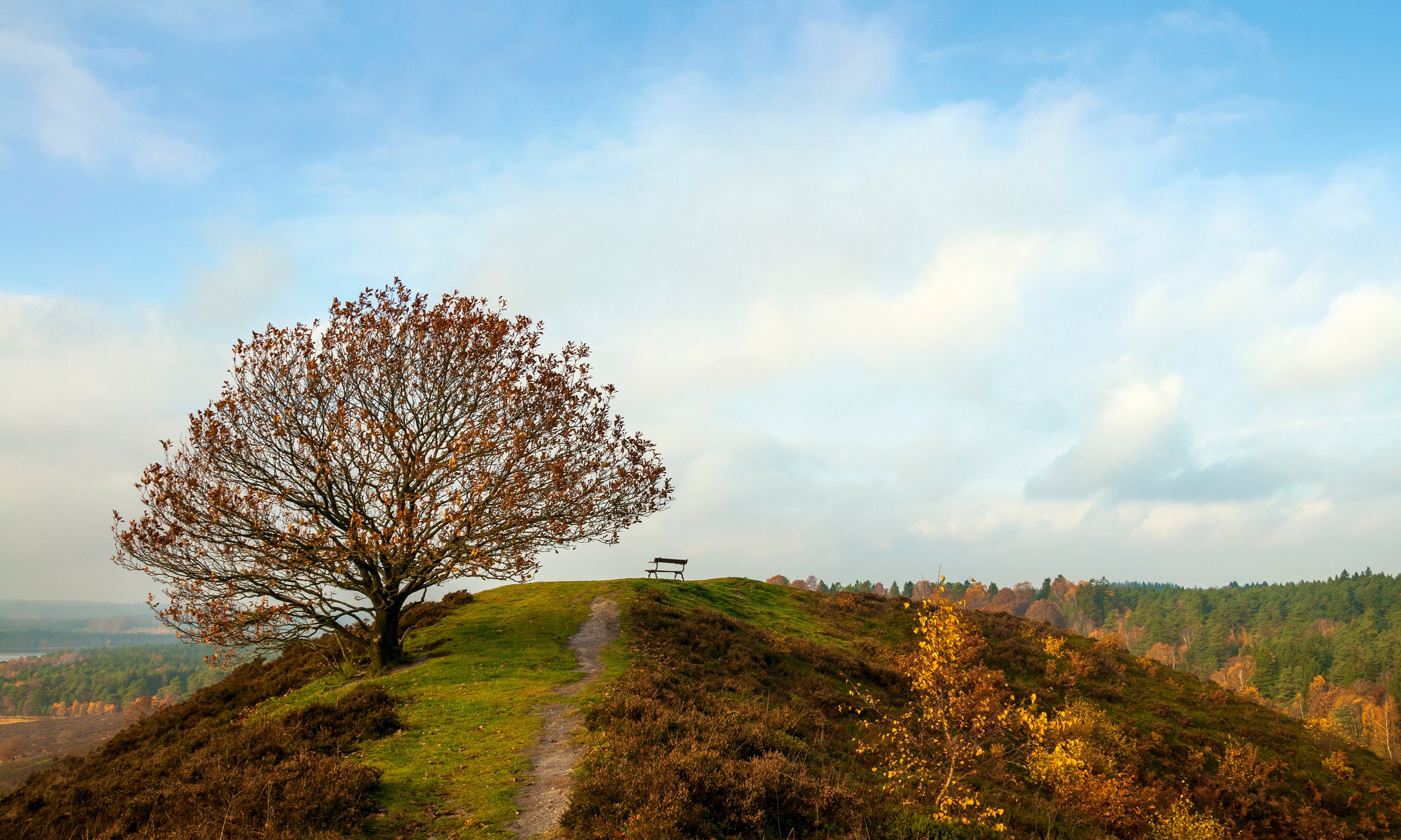 Autumncalm-120x80cm.jpg