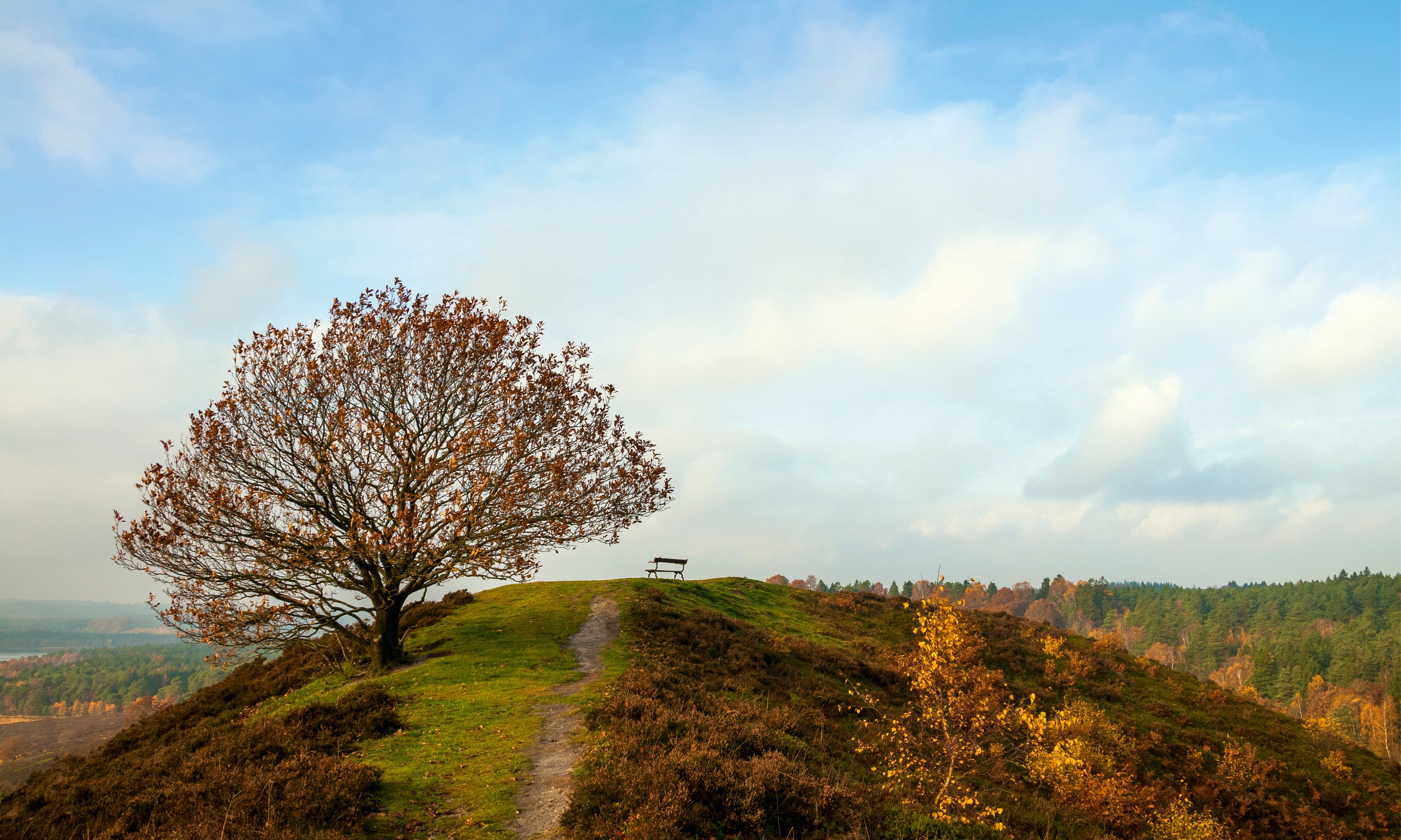 Autumncalm-150x100cm.jpg