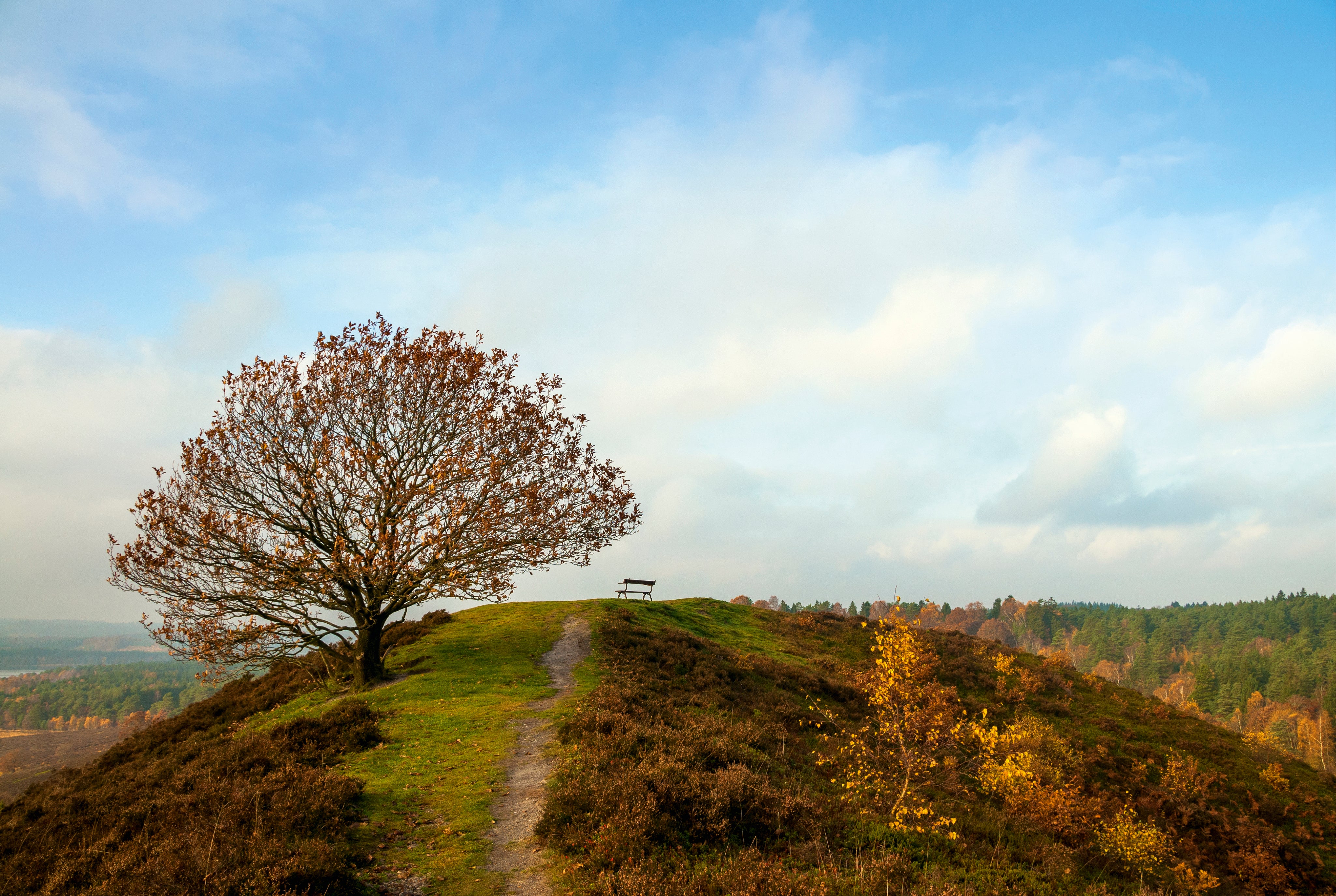 Autumncalm-150x100cm.jpg